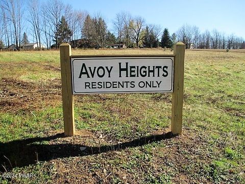 Vacant Land For Sale - 4 Avoy Heights Road<br/> Lake Ariel, PA 18436