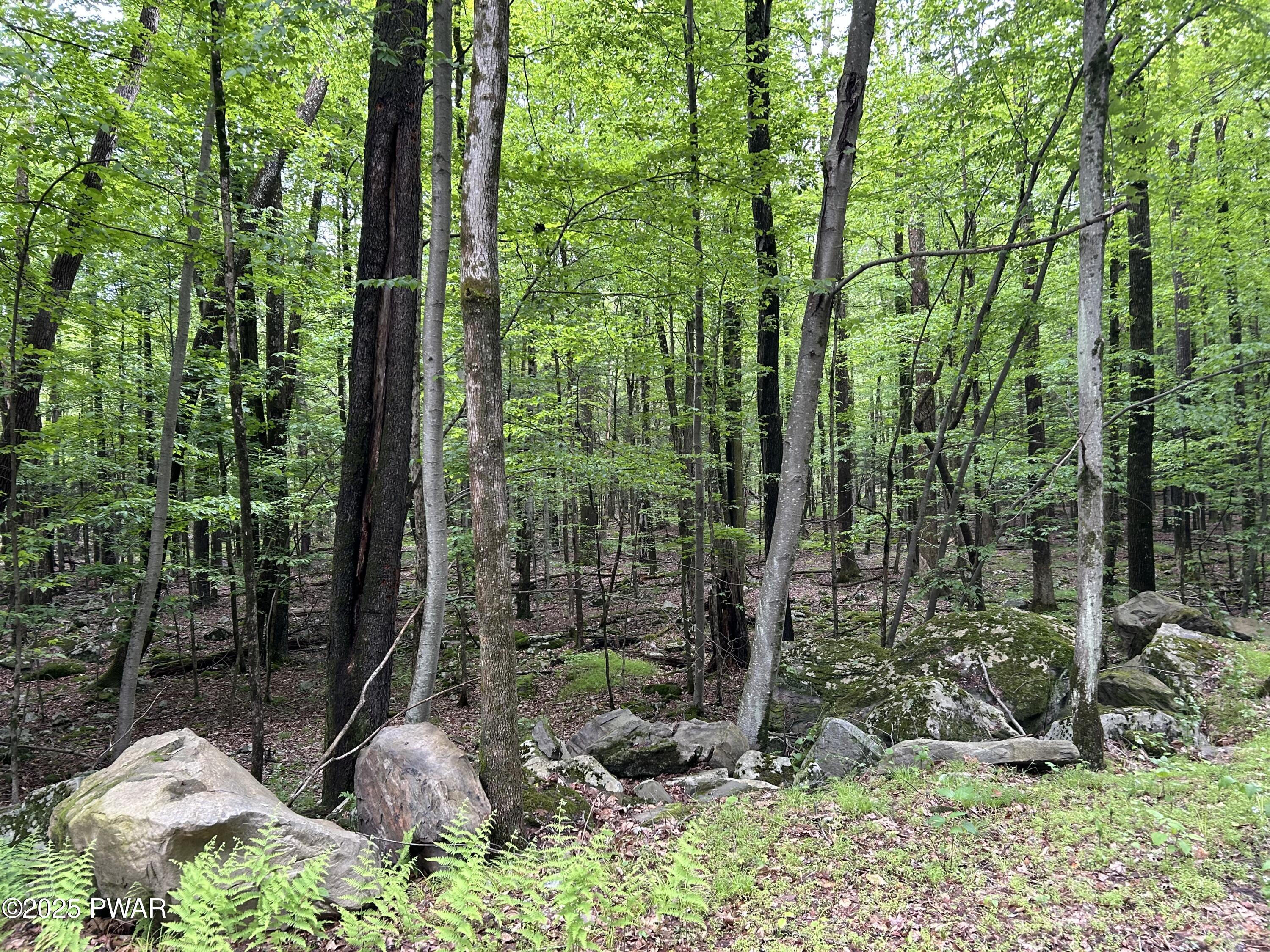 Lot 770 Fawn Road, Hawley, Pennsylvania image 8