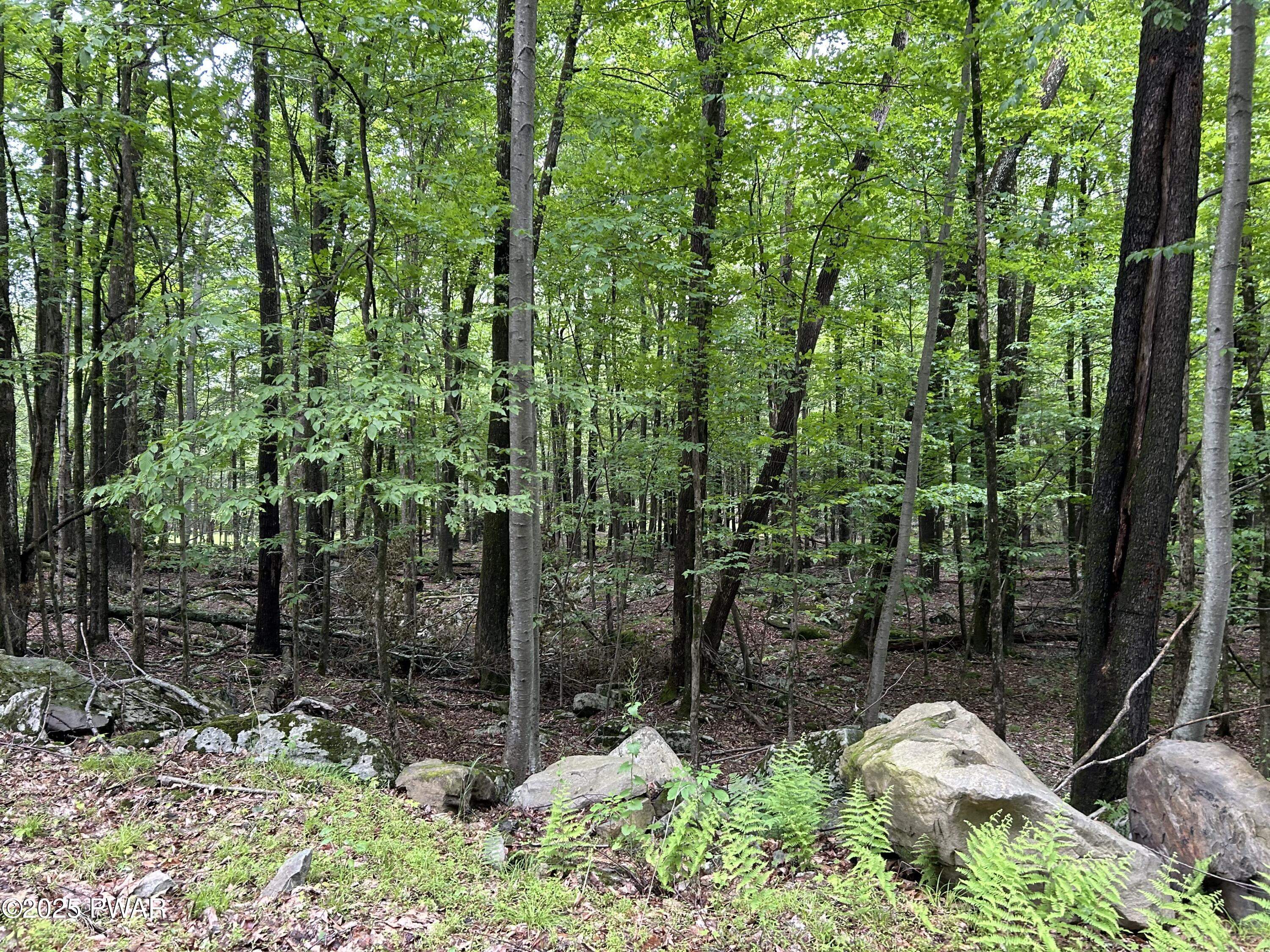 Lot 770 Fawn Road, Hawley, Pennsylvania image 7