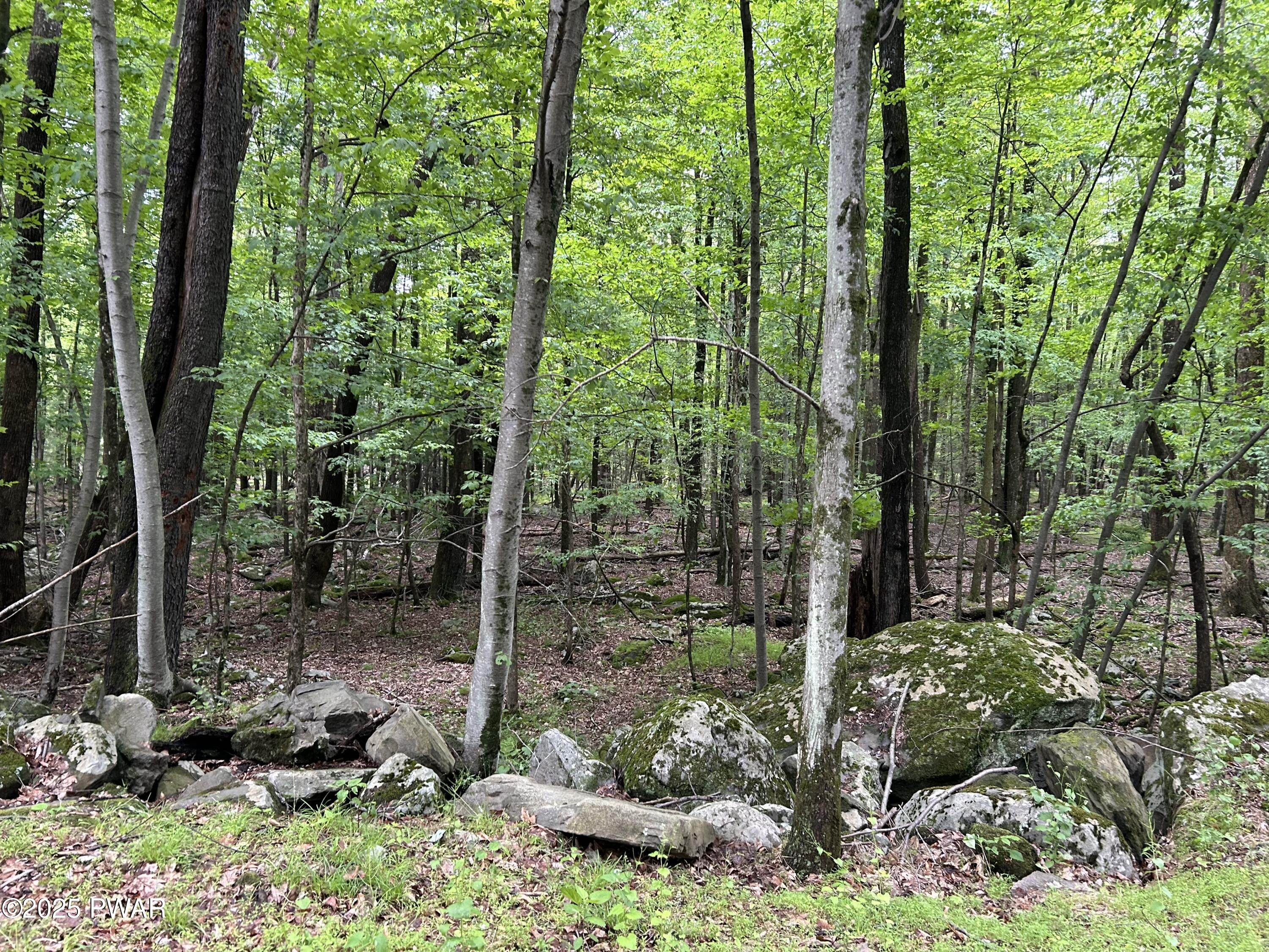 Lot 770 Fawn Road, Hawley, Pennsylvania image 6