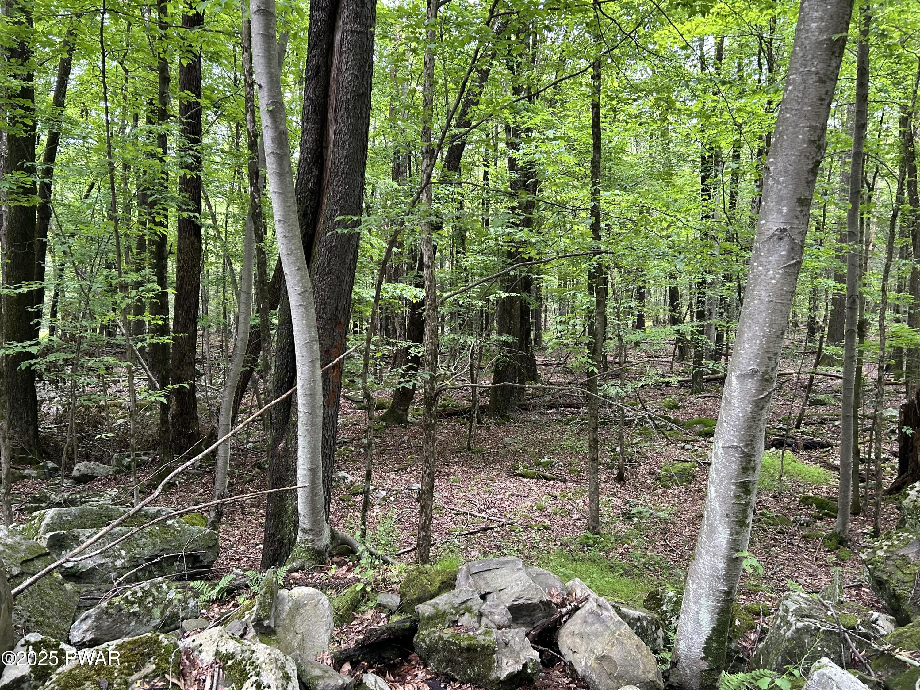 Lot 770 Fawn Road, Hawley, Pennsylvania image 5