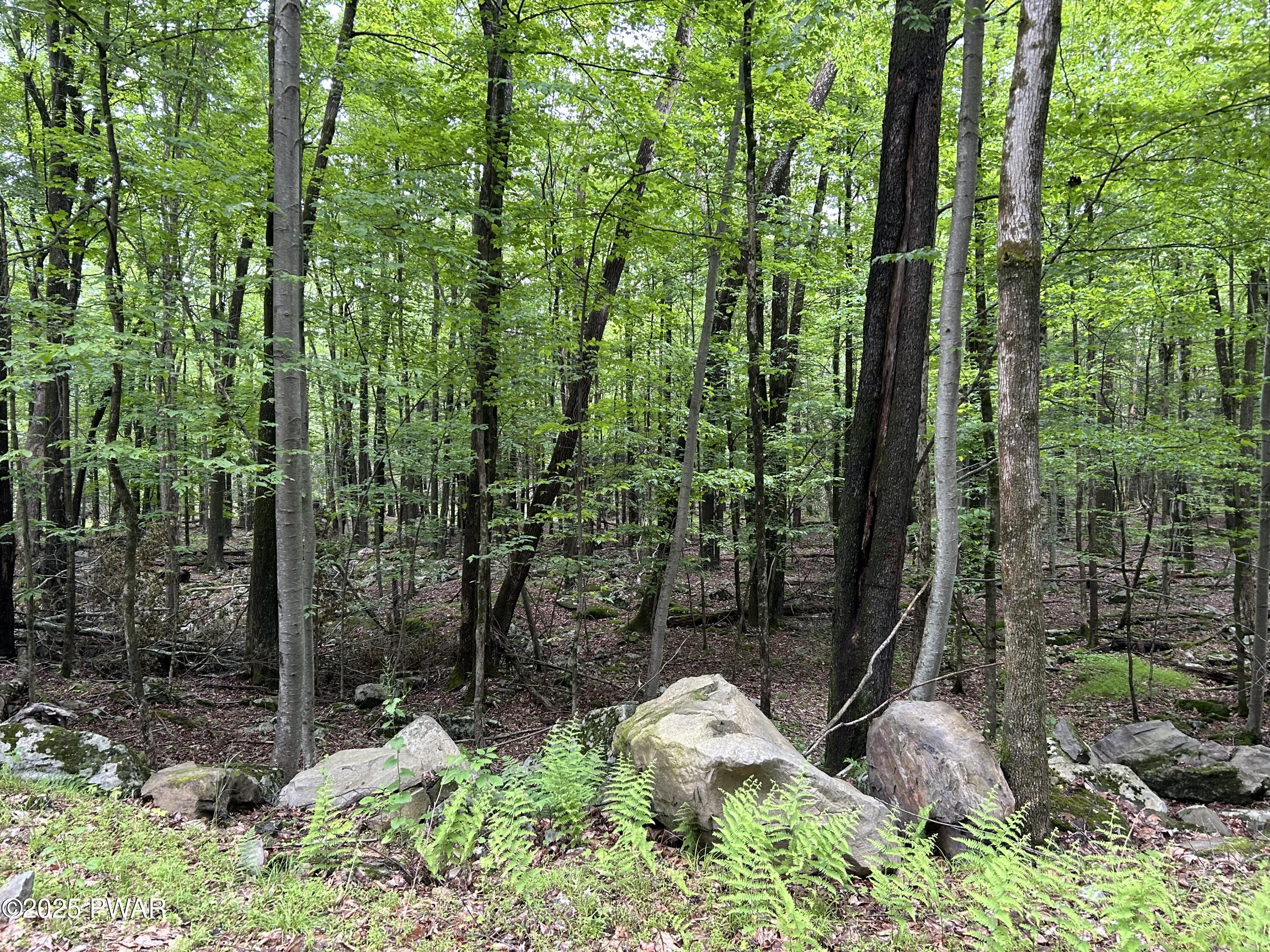 Lot 770 Fawn Road, Hawley, Pennsylvania image 9