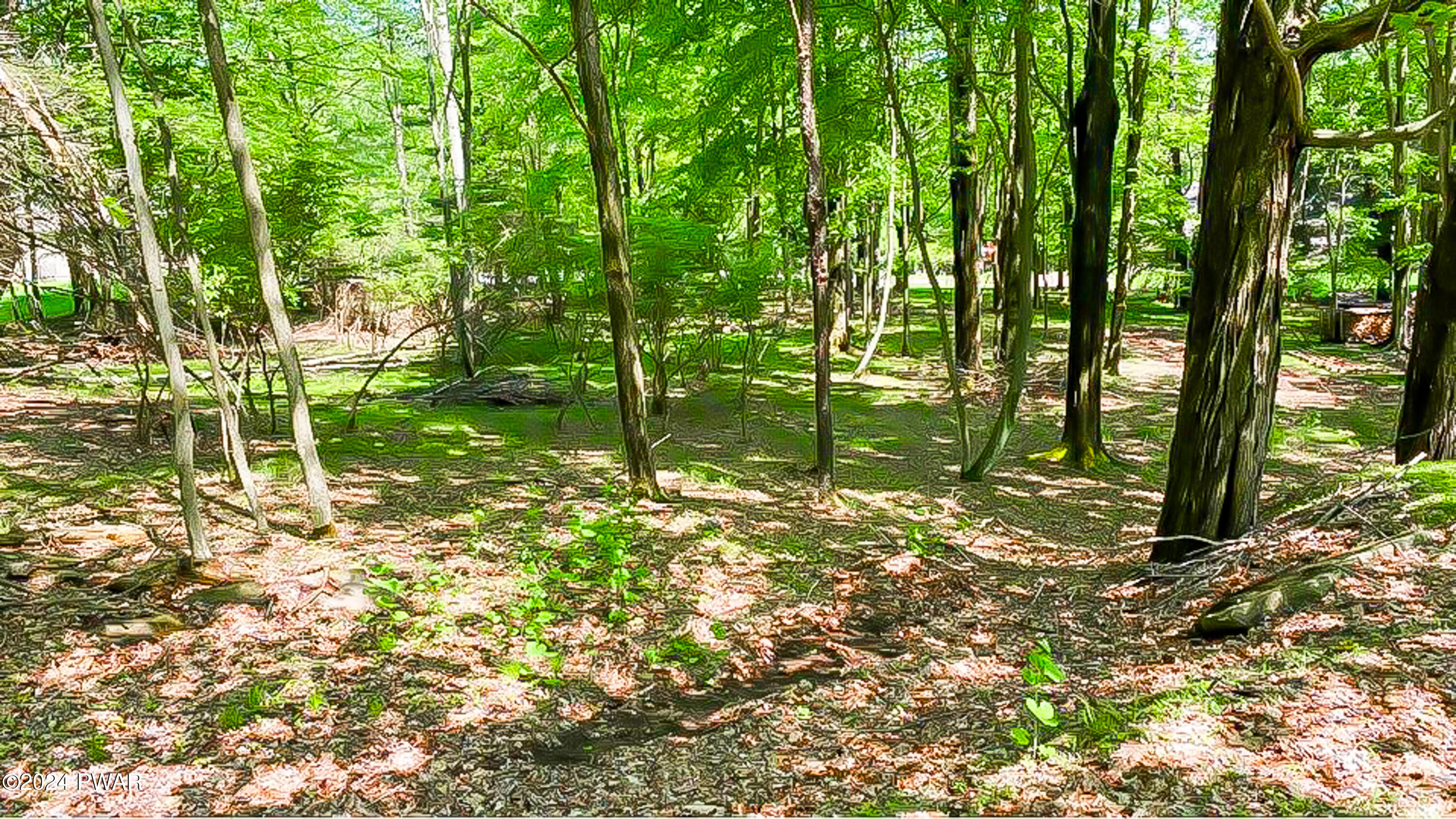 Lot 510 Panther Circle, Lake Ariel, Pennsylvania image 24