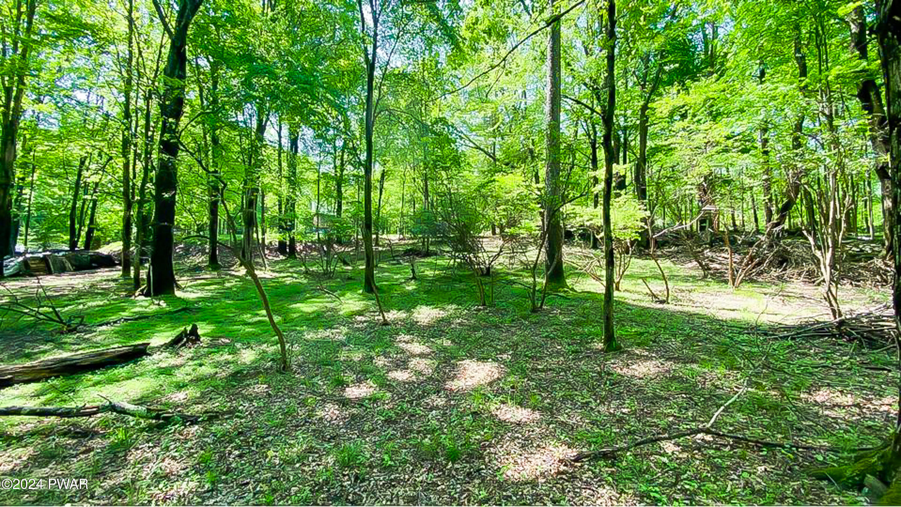 Lot 510 Panther Circle, Lake Ariel, Pennsylvania image 20