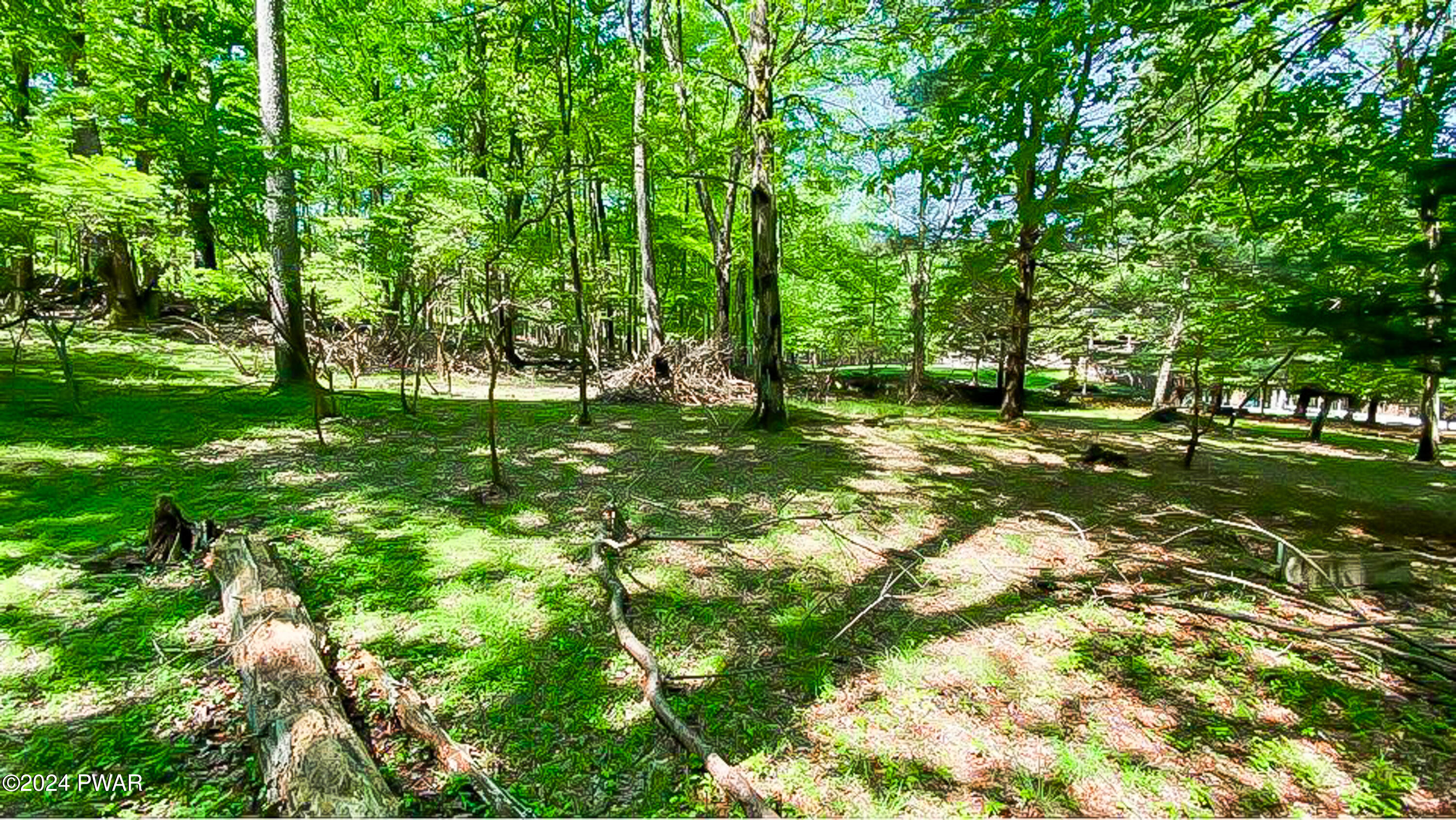 Lot 510 Panther Circle, Lake Ariel, Pennsylvania image 23