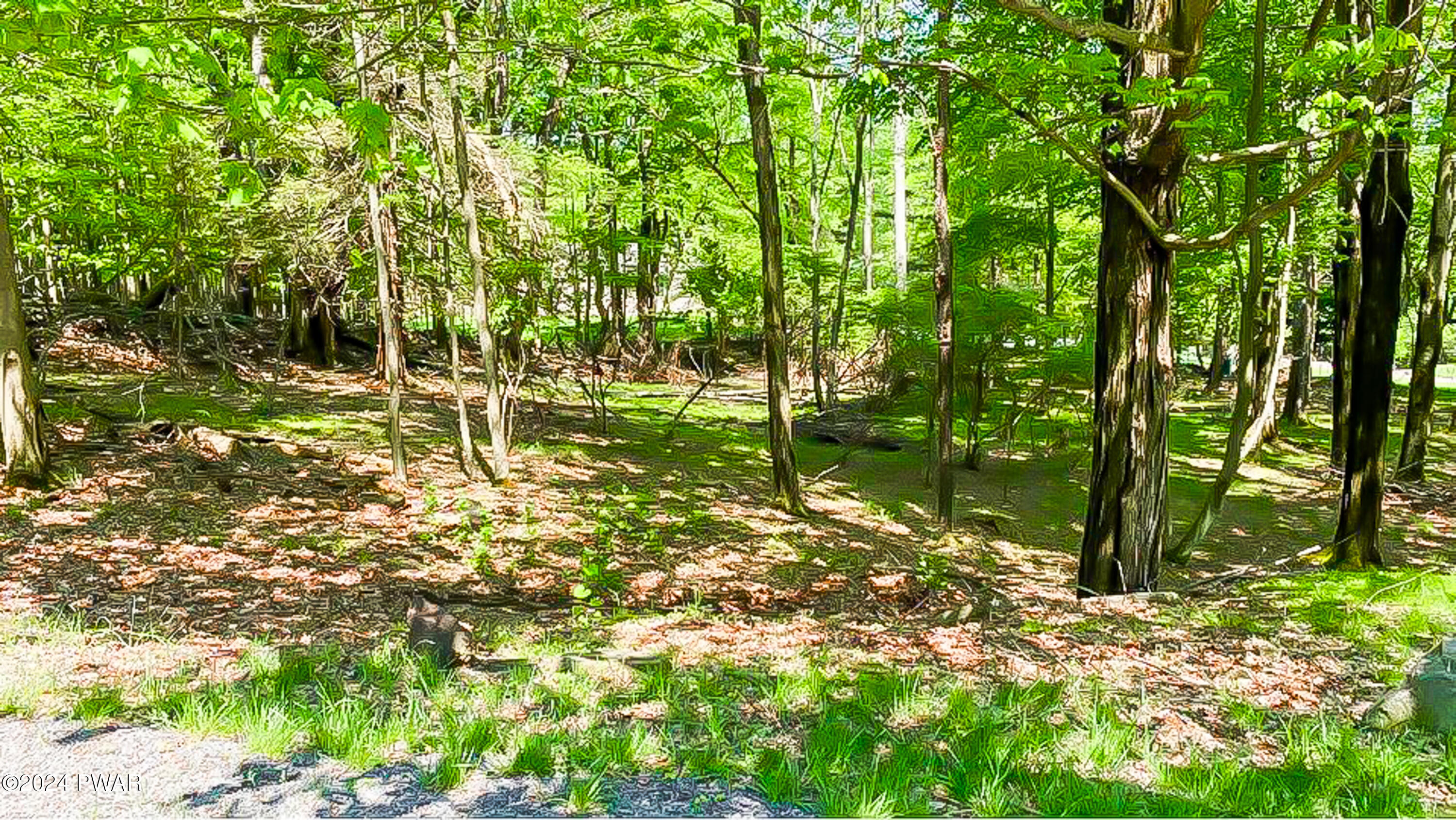 Lot 510 Panther Circle, Lake Ariel, Pennsylvania image 22