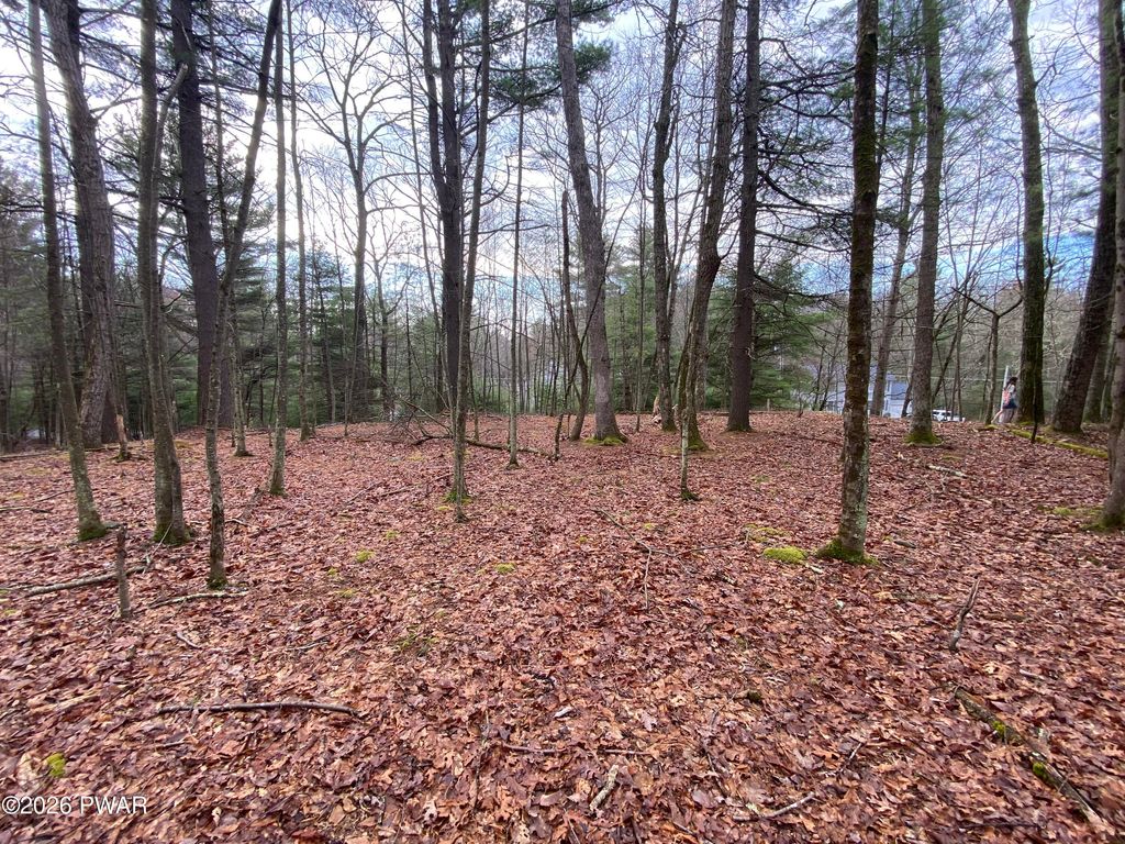 Photo of 54 Laverne Drive, Dingmans Ferry, PA 18328 (MLS # PW260972)