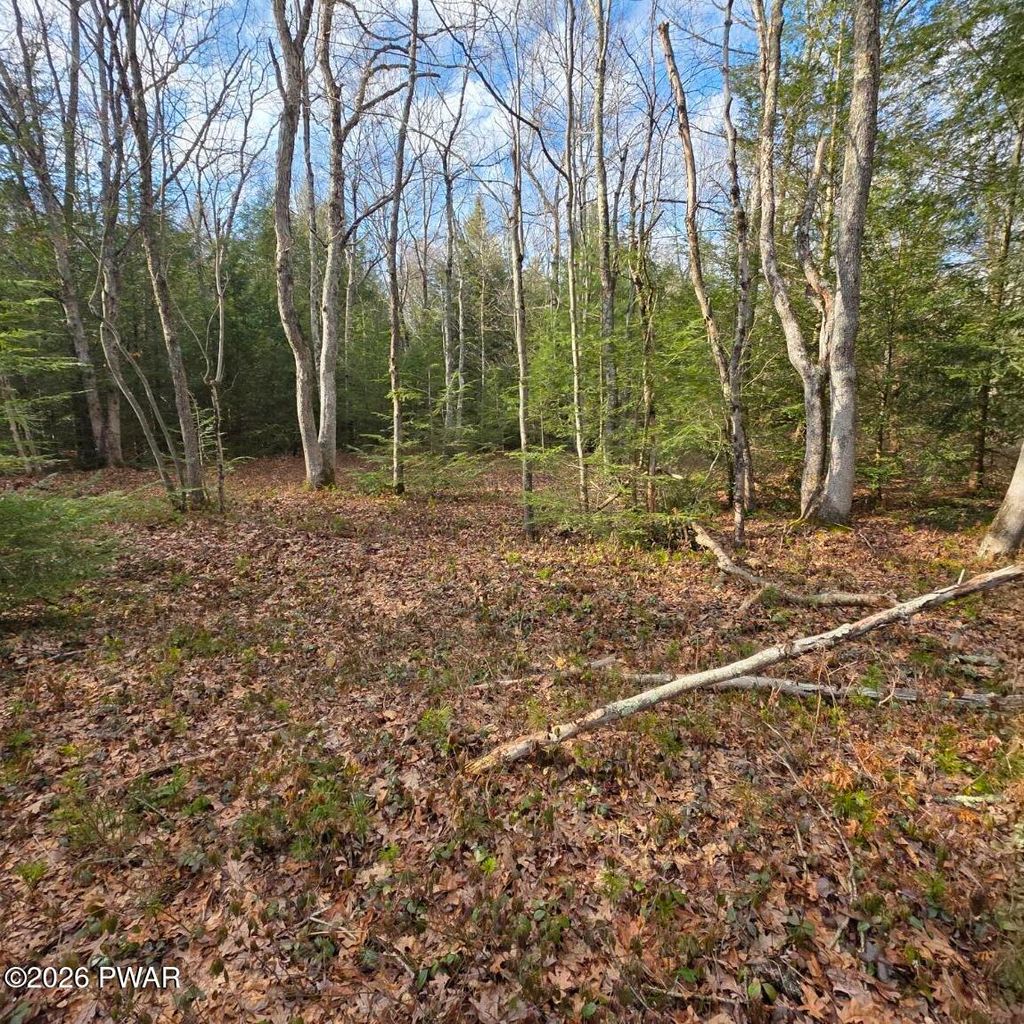 Photo of Snowy Ridge, Jim Thorpe, PA 18229 (MLS # PW260531)