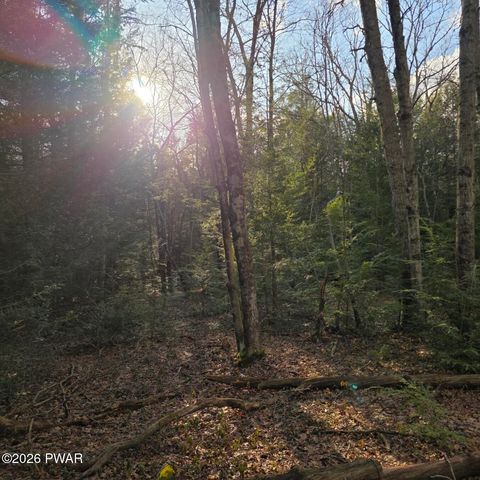 Vacant Land For Sale - Snowy Ridge<br/> Jim Thorpe, PA 18229