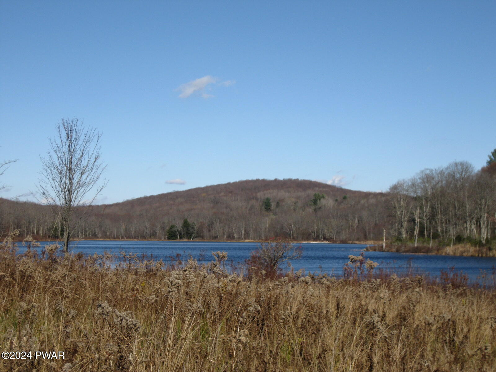 Scott Center Rd, Starrucca, Pennsylvania image 2