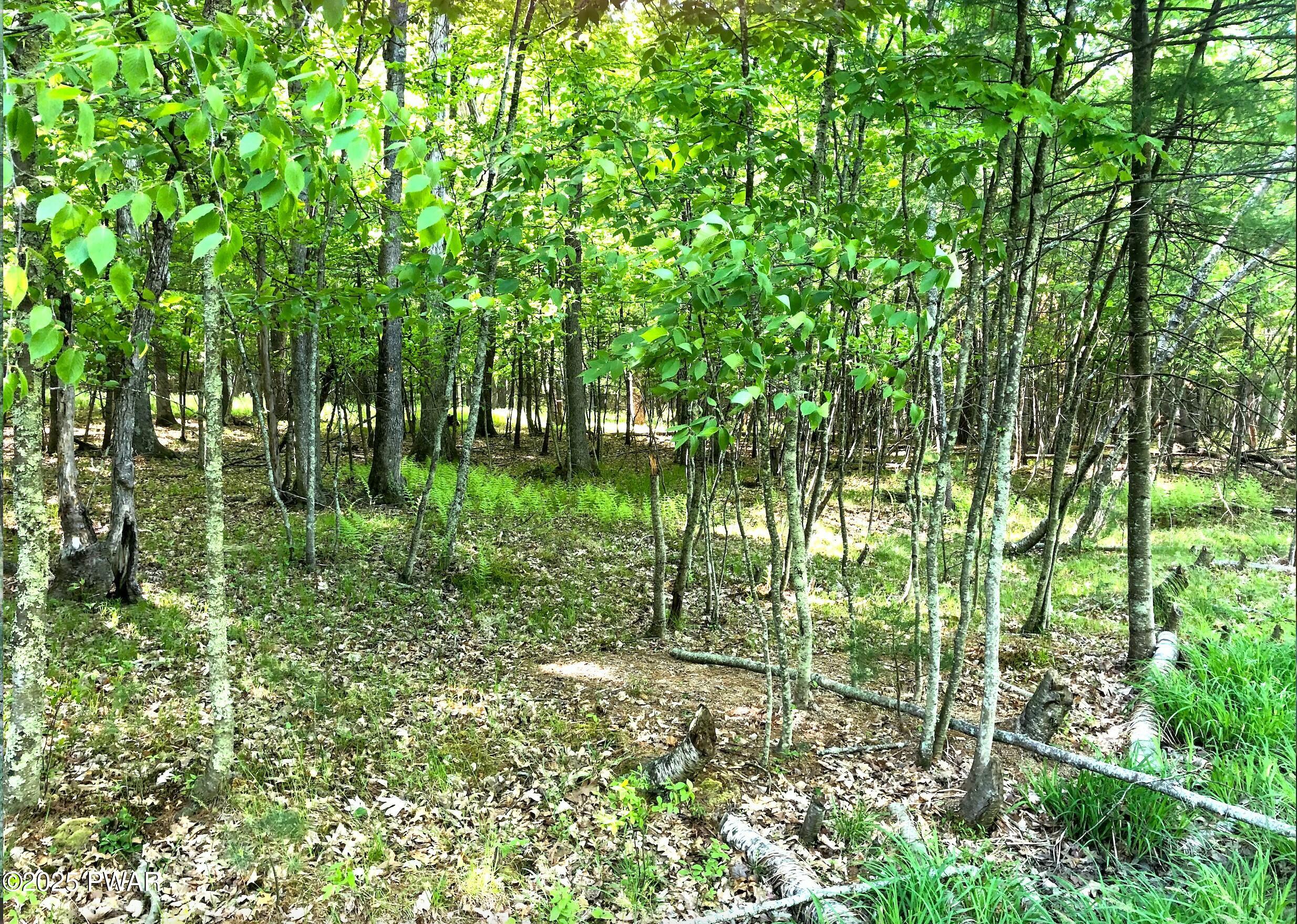 Hawley, Pennsylvania 18428, United States, ,Land,Active,104877