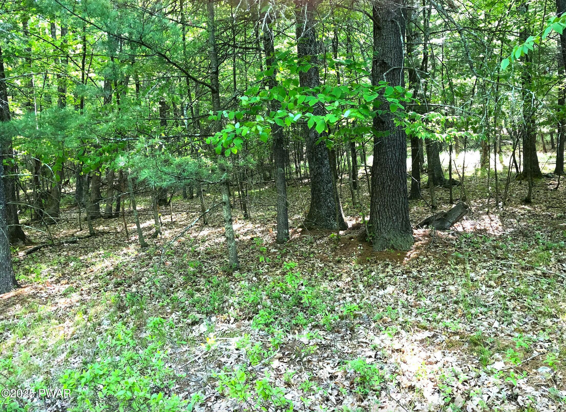 Hawley, Pennsylvania 18428, United States, ,Land,Active,104877