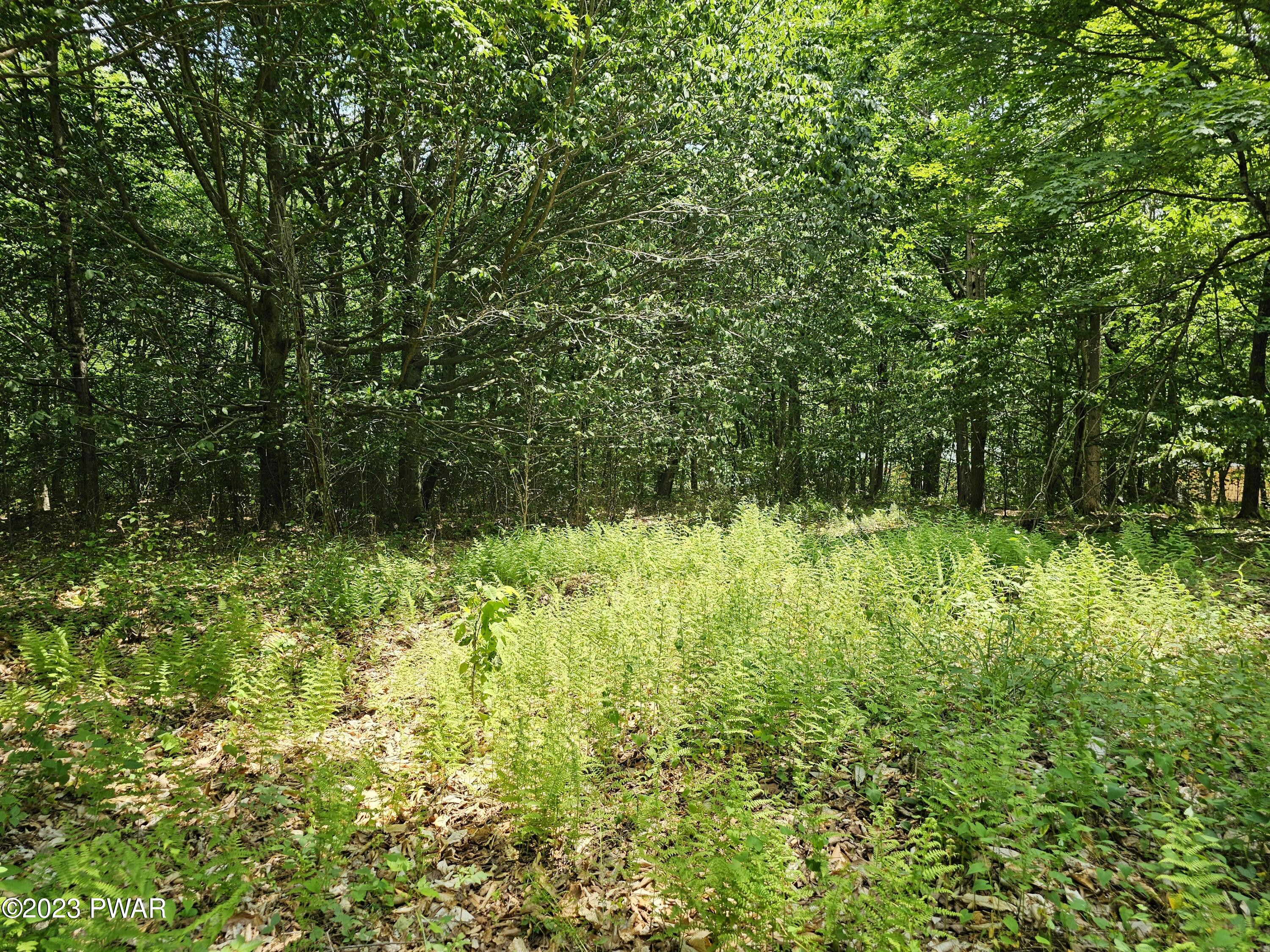 Lot 69 Stonegate Road, Equinunk, Pennsylvania image 7