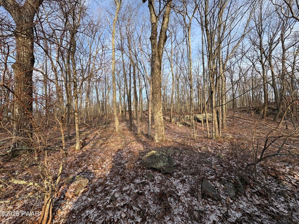 Photo of 39 Acres Drive, Dingmans Ferry, PA 18328 (MLS # PW260559)