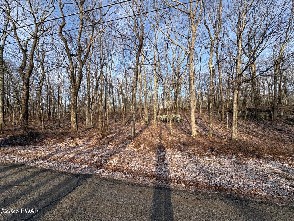 Photo of 39 Acres Drive, Dingmans Ferry, PA 18328 (MLS # PW260559)