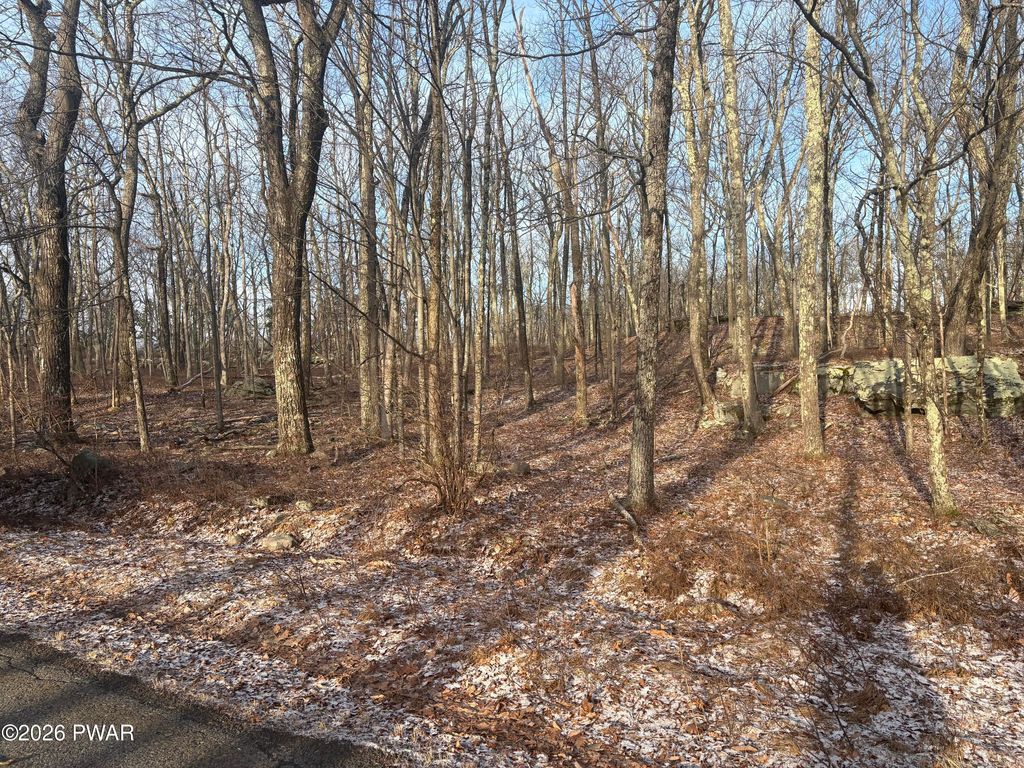 Photo of 39 Acres Drive, Dingmans Ferry, PA 18328 (MLS # PW260559)