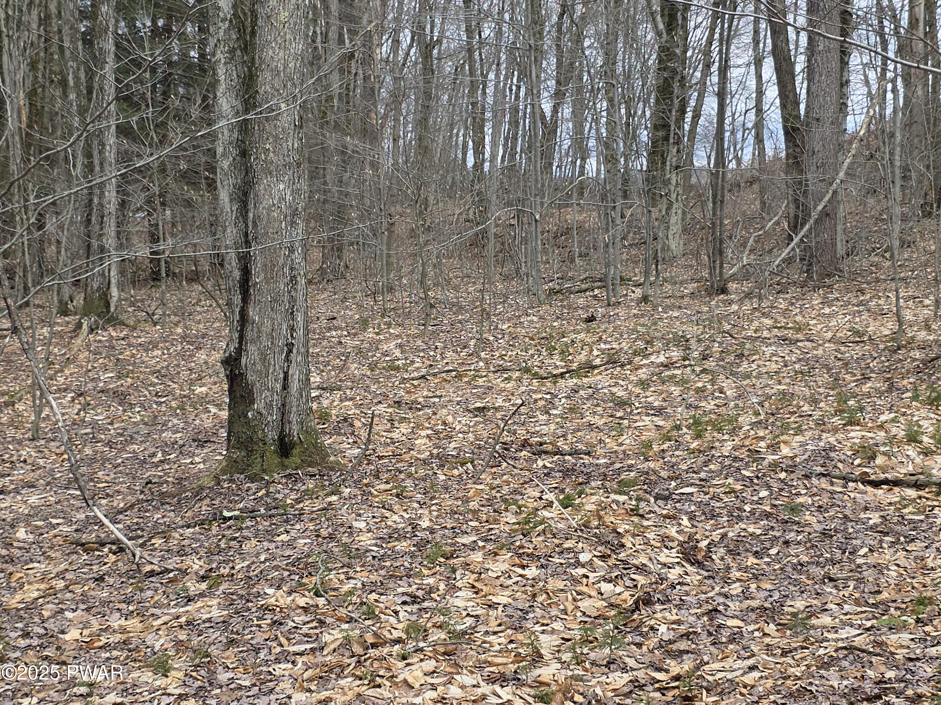Lot #2 Pa- 370, Poyntelle, Pennsylvania image 1