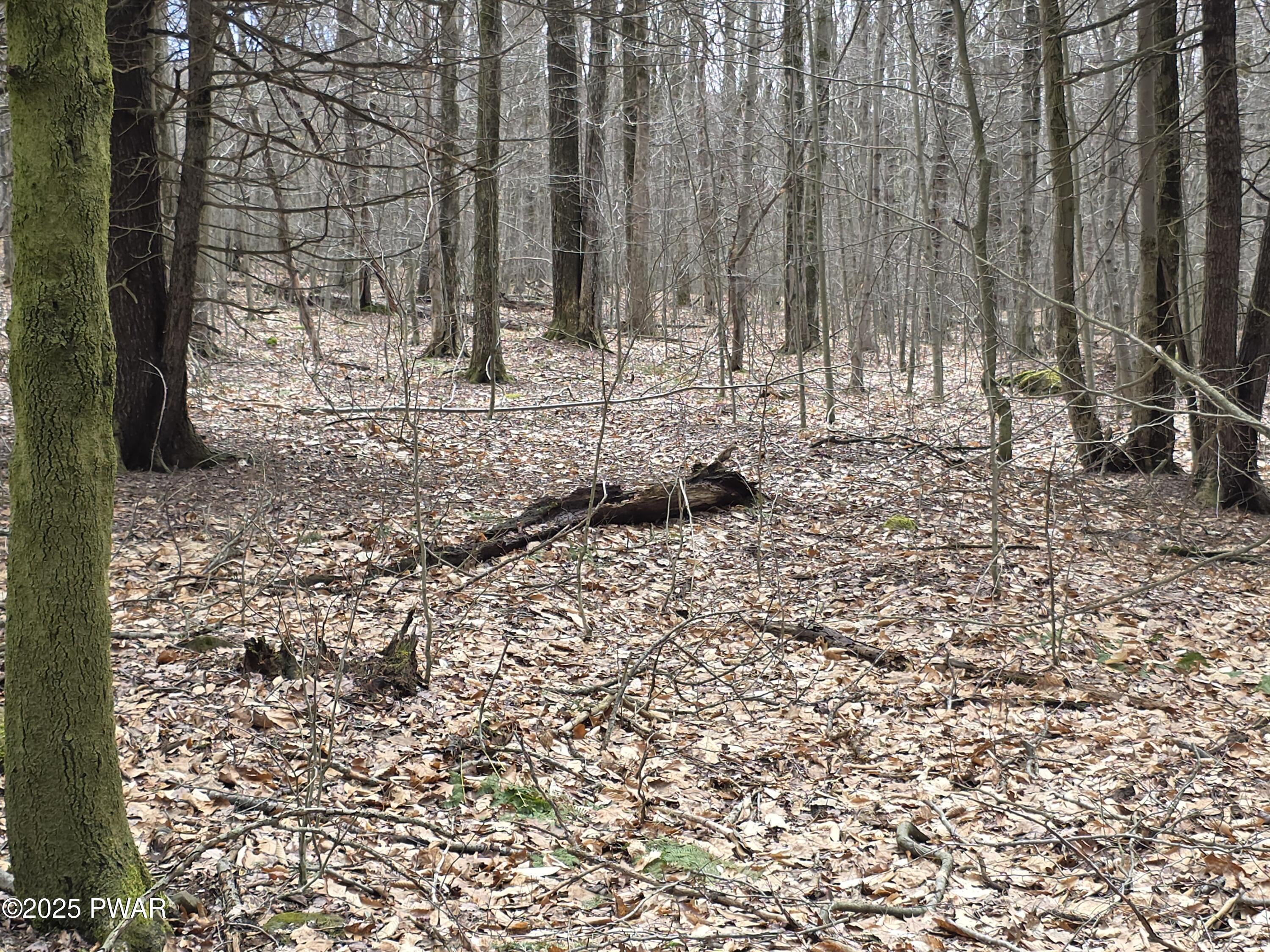Lot #2 Pa- 370, Poyntelle, Pennsylvania image 3