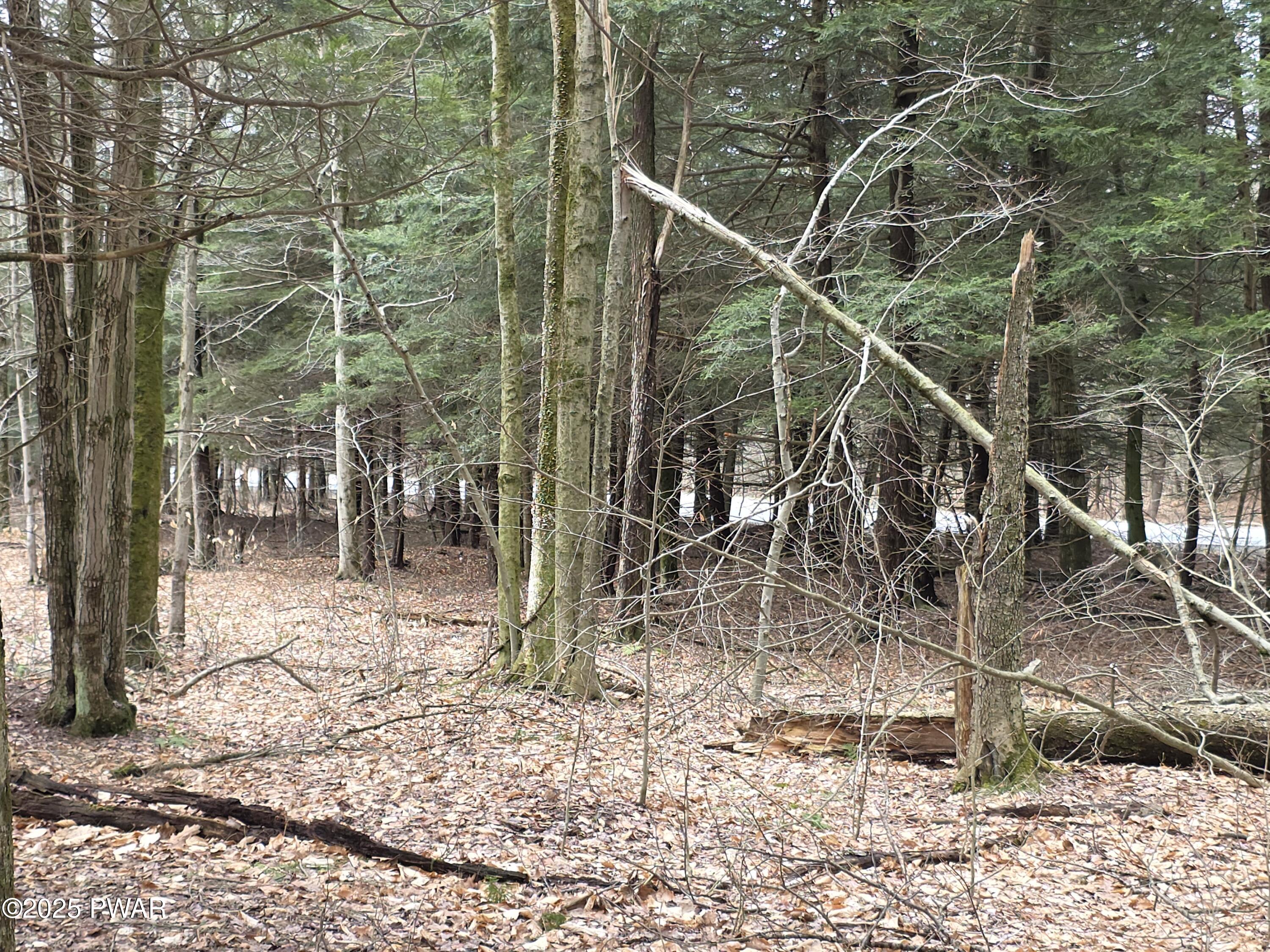 Lot #2 Pa- 370, Poyntelle, Pennsylvania image 2