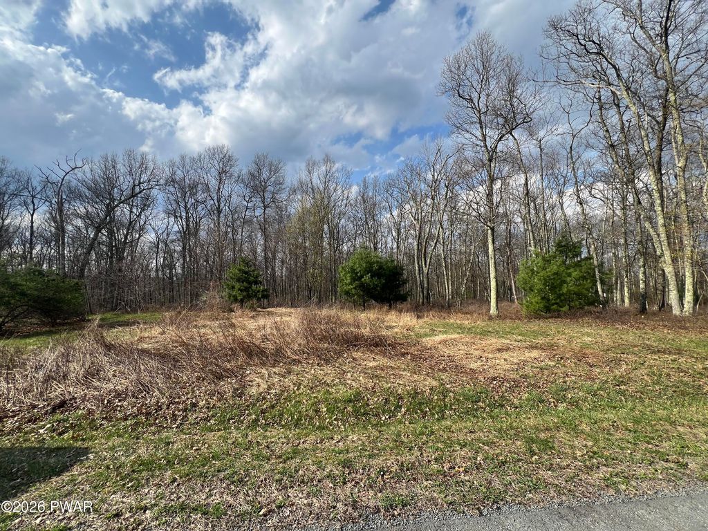 Photo of 134 Wedgewood Drive, Blooming Grove, PA 18428 (MLS # PW261048)