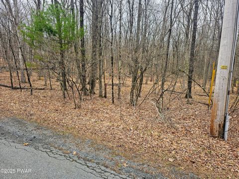 Vacant Land For Sale - 46 Hawks Nest Drive<br/> Hawley, PA 18428