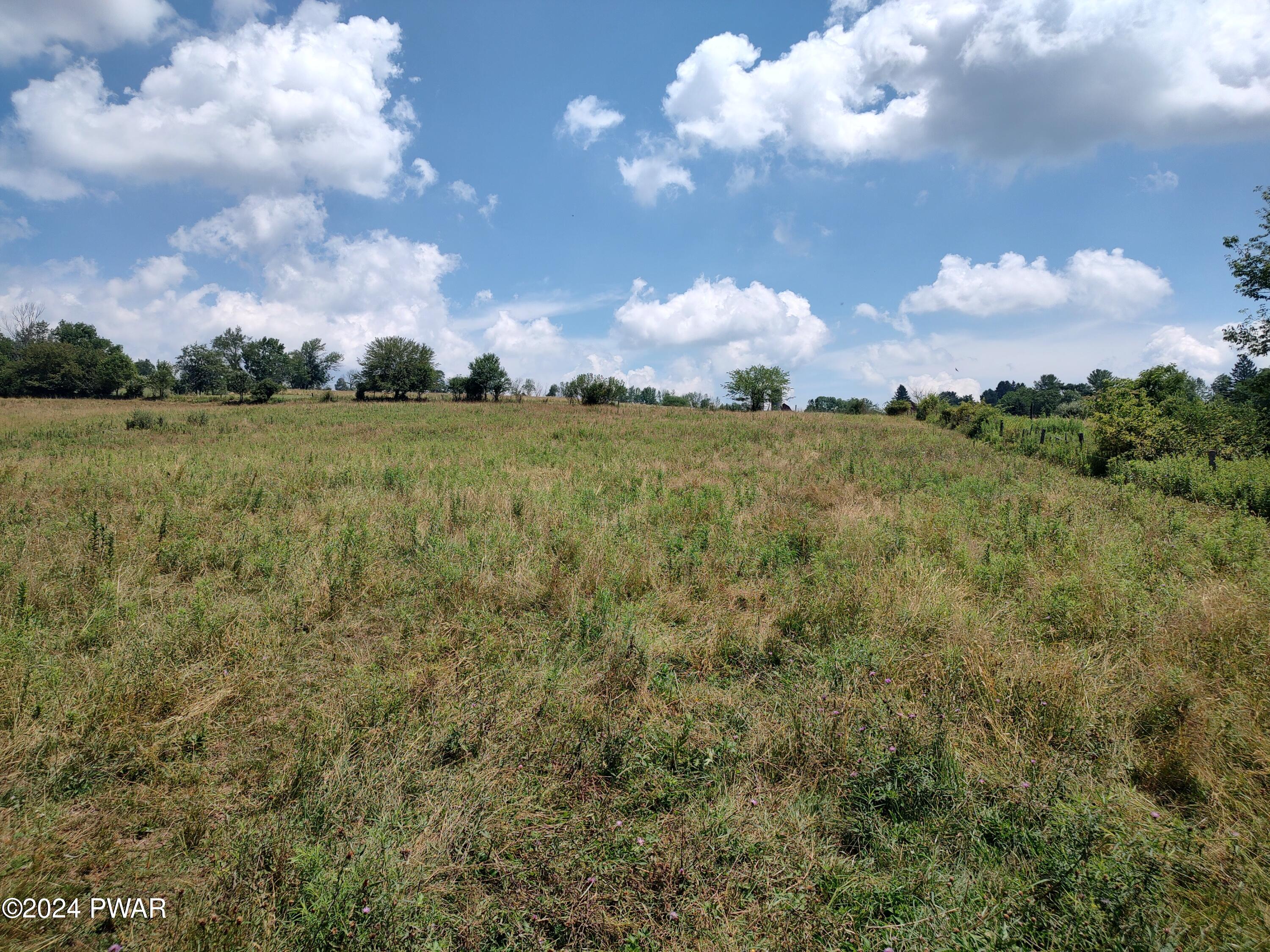 Cochecton Turnpike, Tyler Hill, Pennsylvania image 5