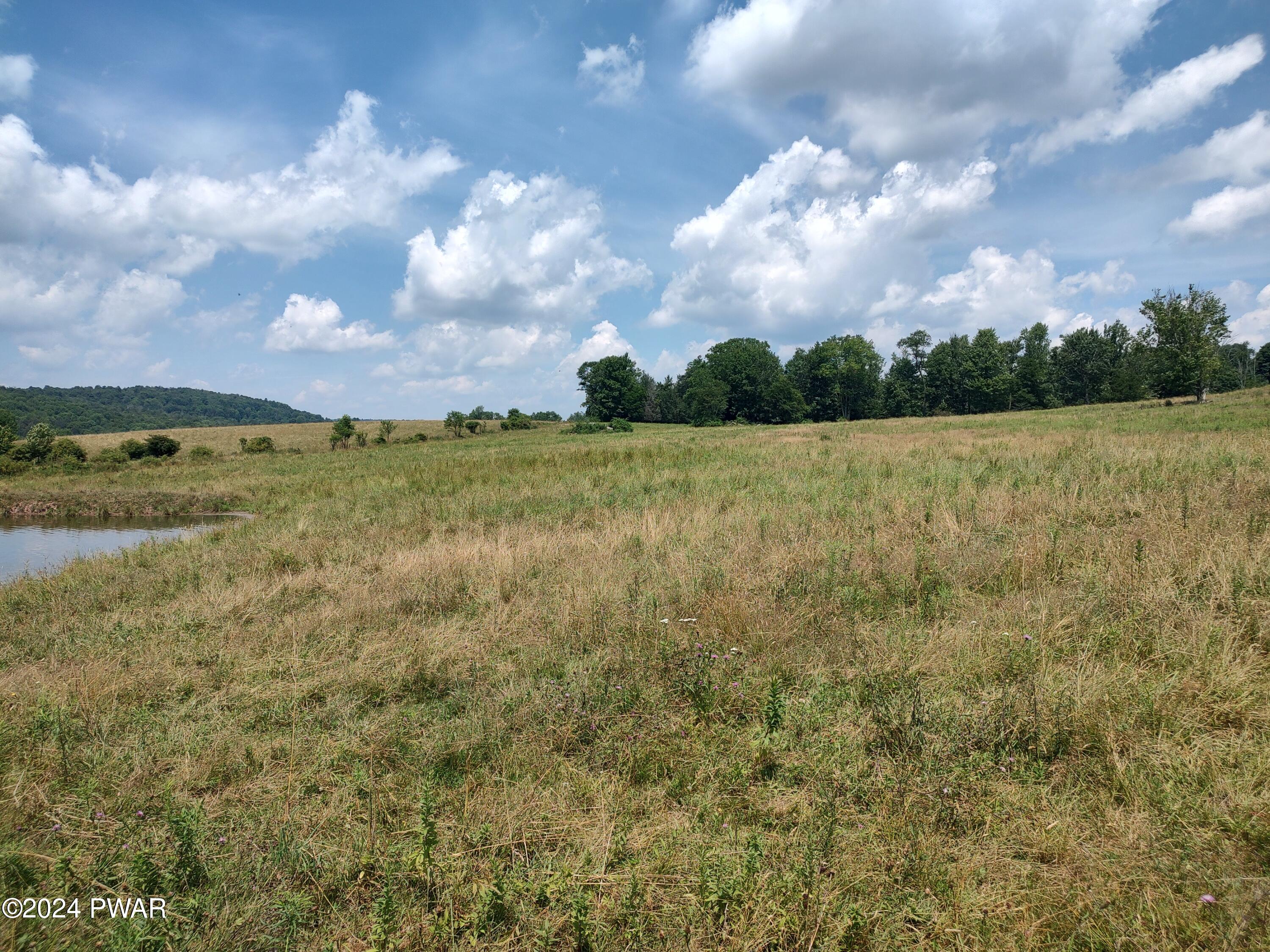 Cochecton Turnpike, Tyler Hill, Pennsylvania image 3