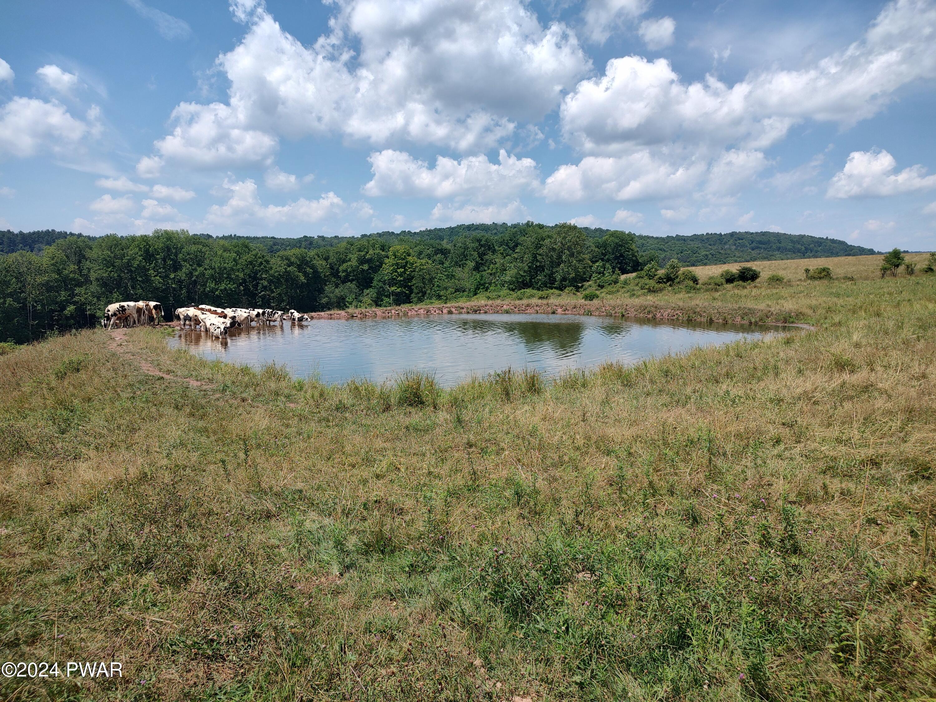 Cochecton Turnpike, Tyler Hill, Pennsylvania image 1