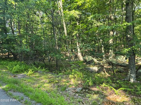 Vacant Land For Sale - 260 Seneca Drive<br/> Pike County, Milford, PA 18337