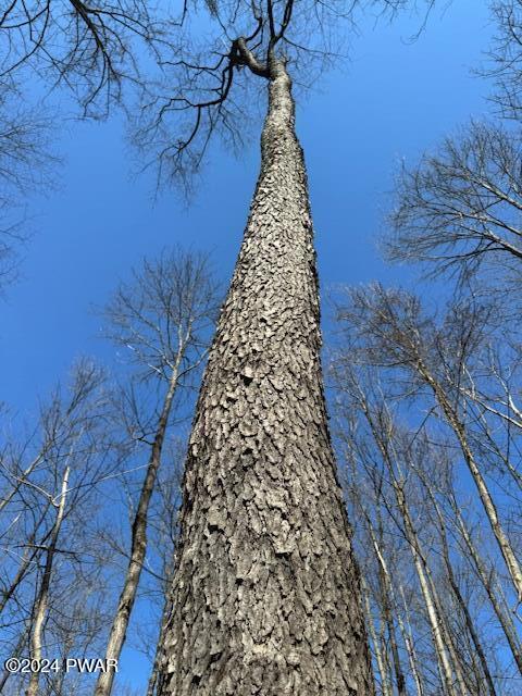 Elk Lake Drive, Waymart, Pennsylvania image 17