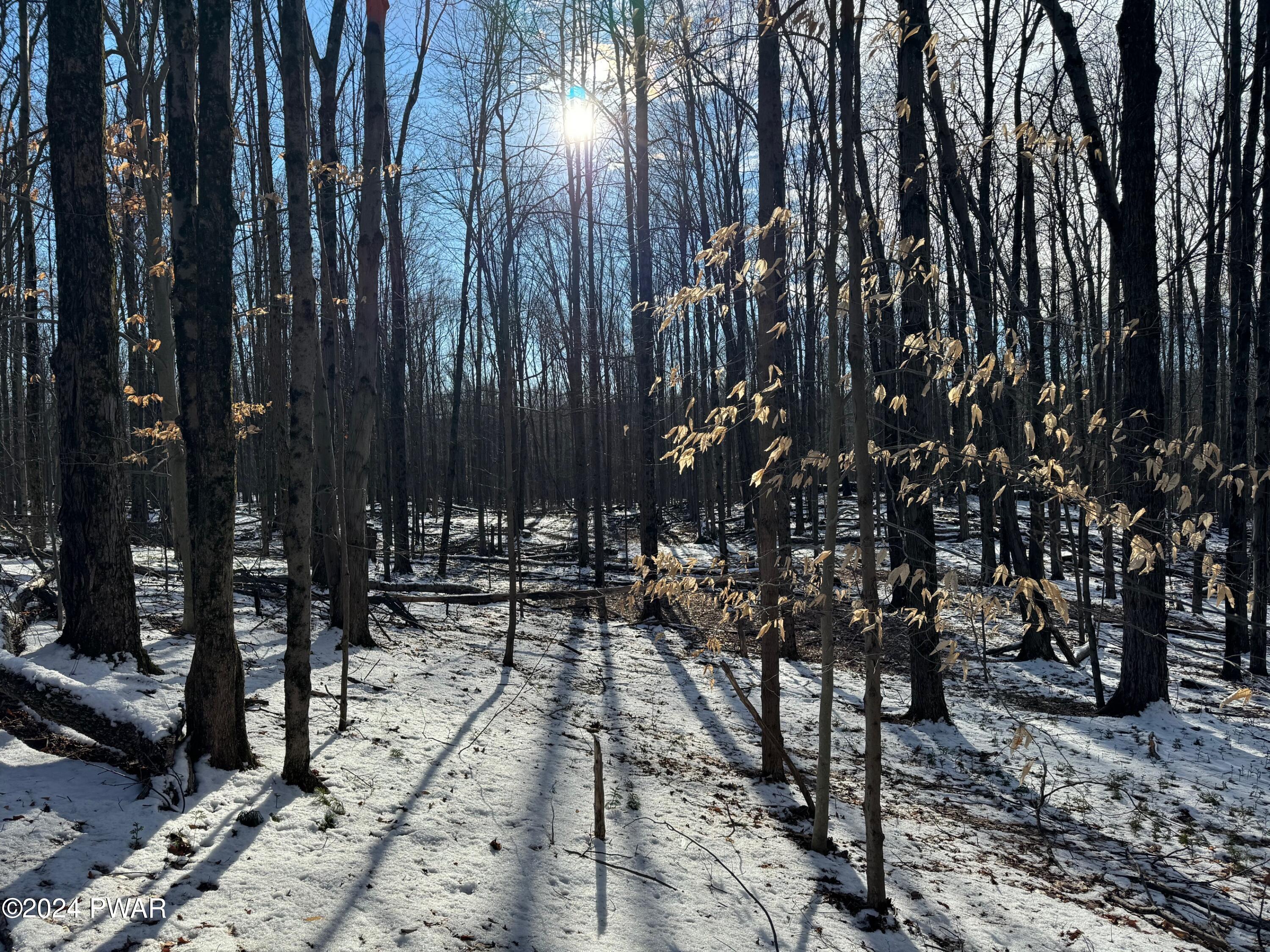 Elk Lake Drive, Waymart, Pennsylvania image 18