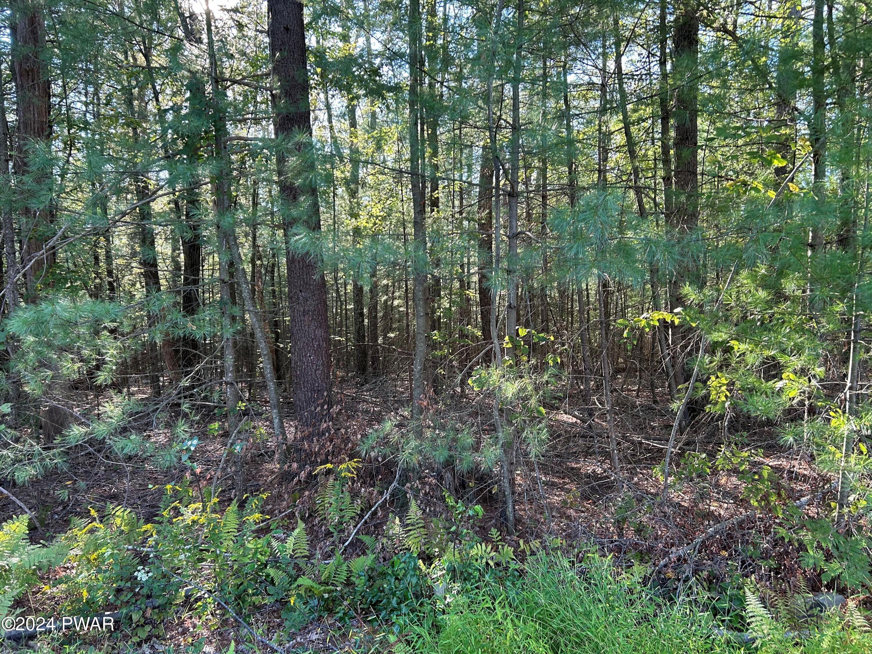 Lot 5 Delaware Crest, Dingmans Ferry, Pennsylvania image 4