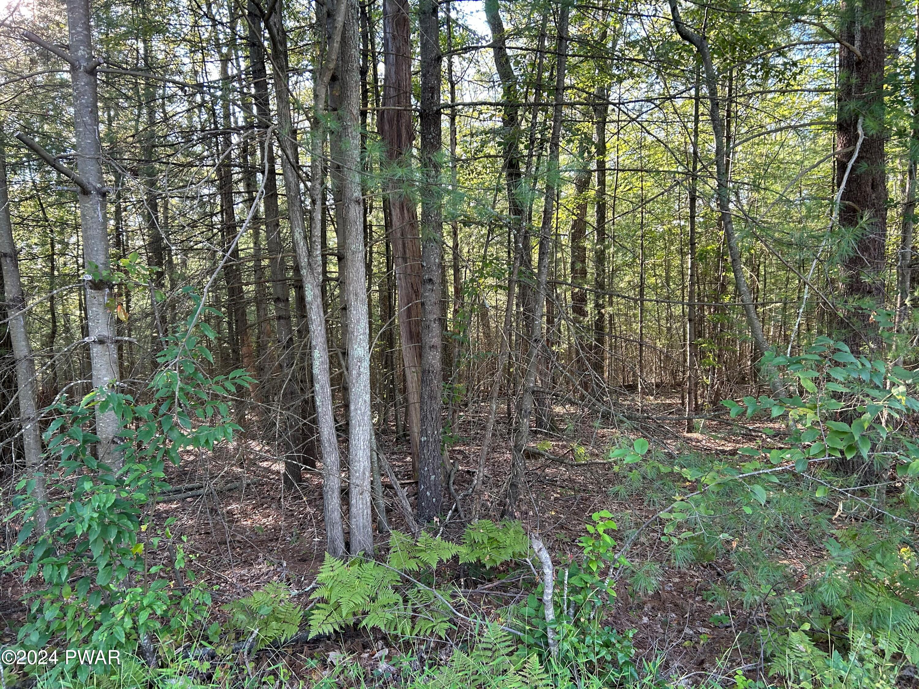 Lot 5 Delaware Crest, Dingmans Ferry, Pennsylvania image 5