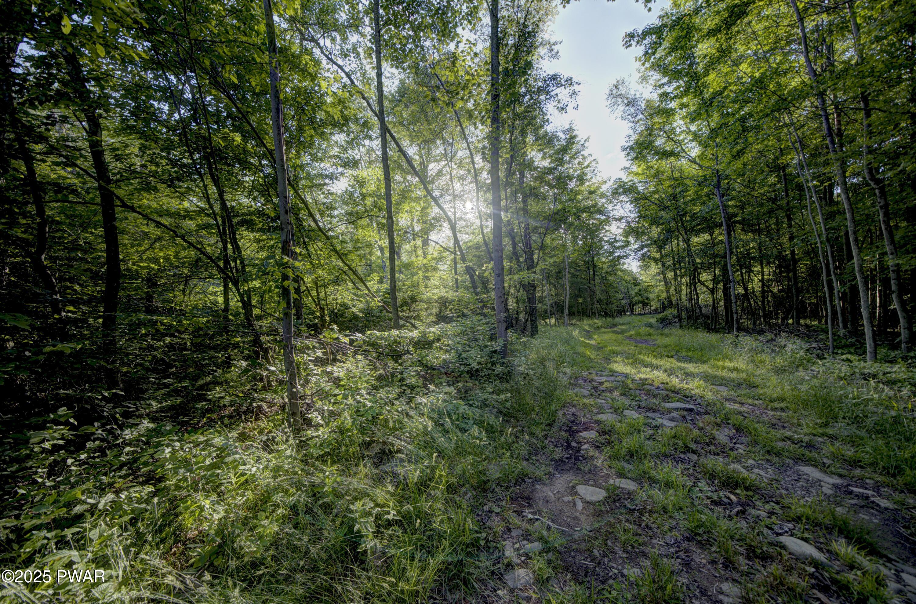 Gilpin Road, Newfoundland, Pennsylvania image 15