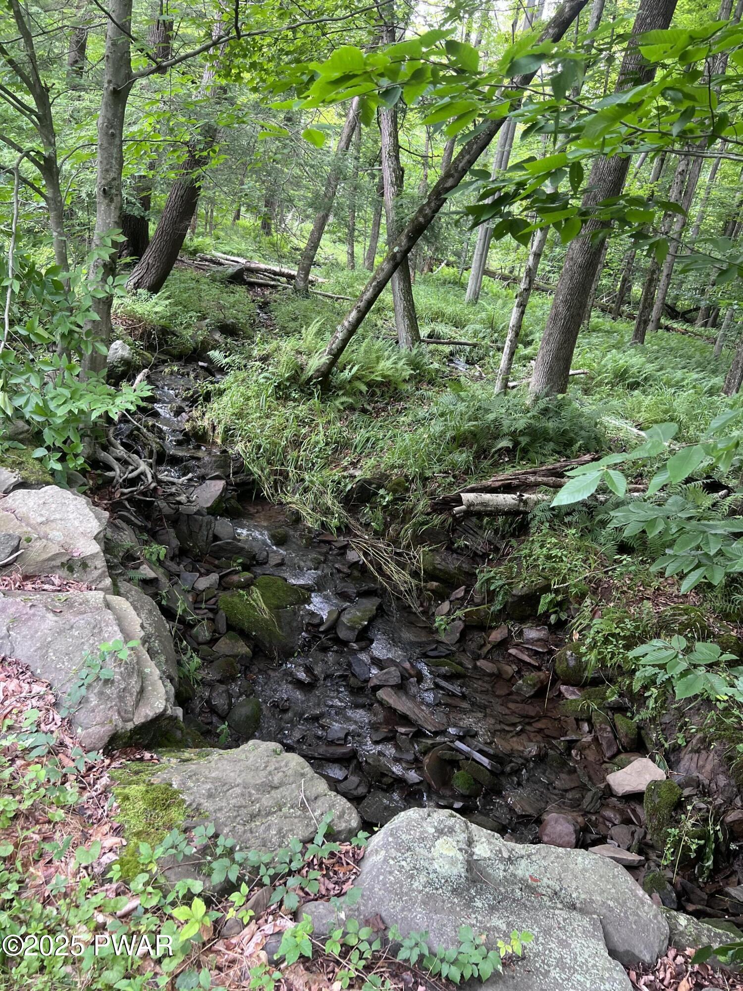 Traco Road, Lake Ariel, Pennsylvania image 9