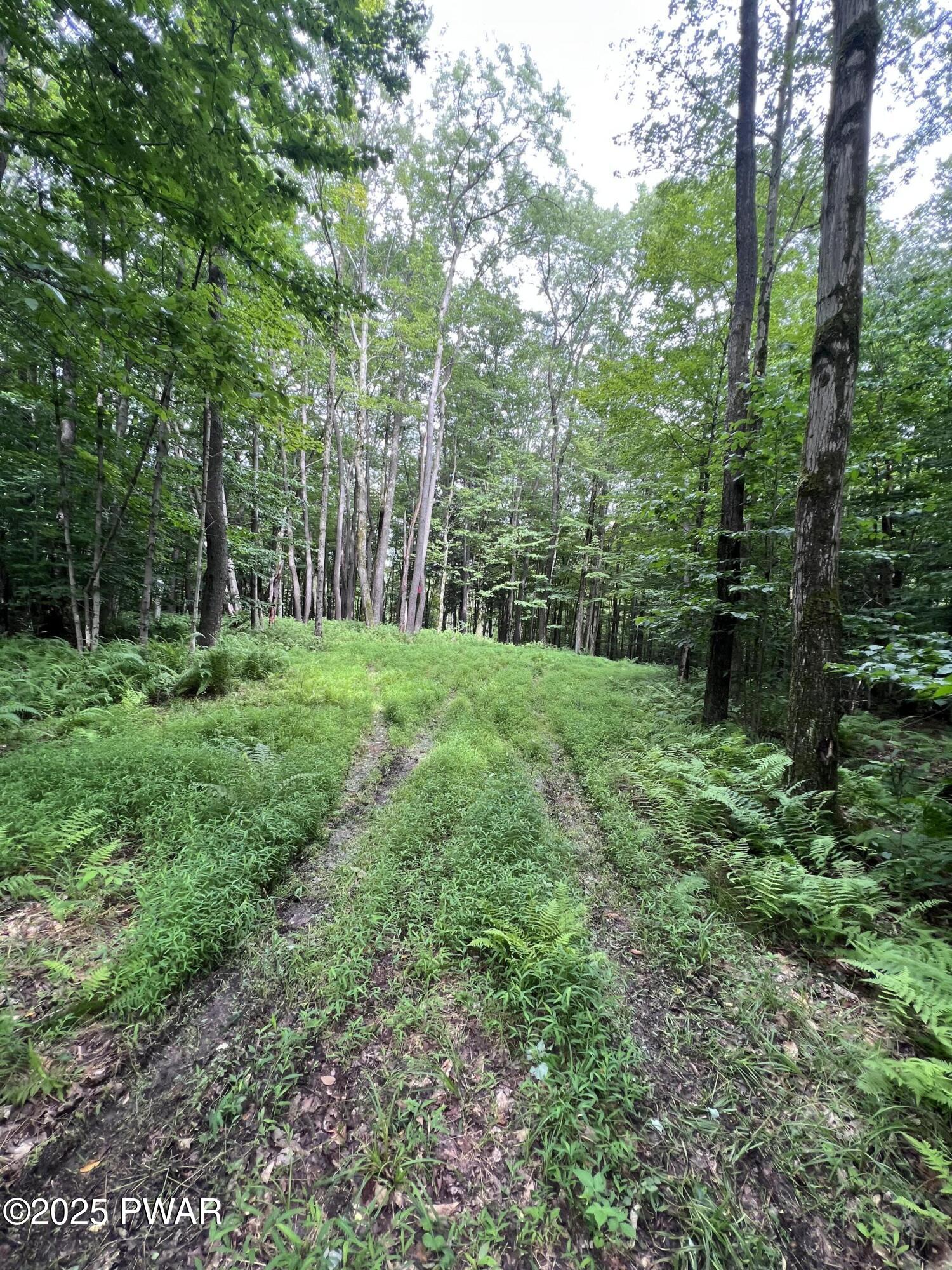 Traco Road, Lake Ariel, Pennsylvania image 6