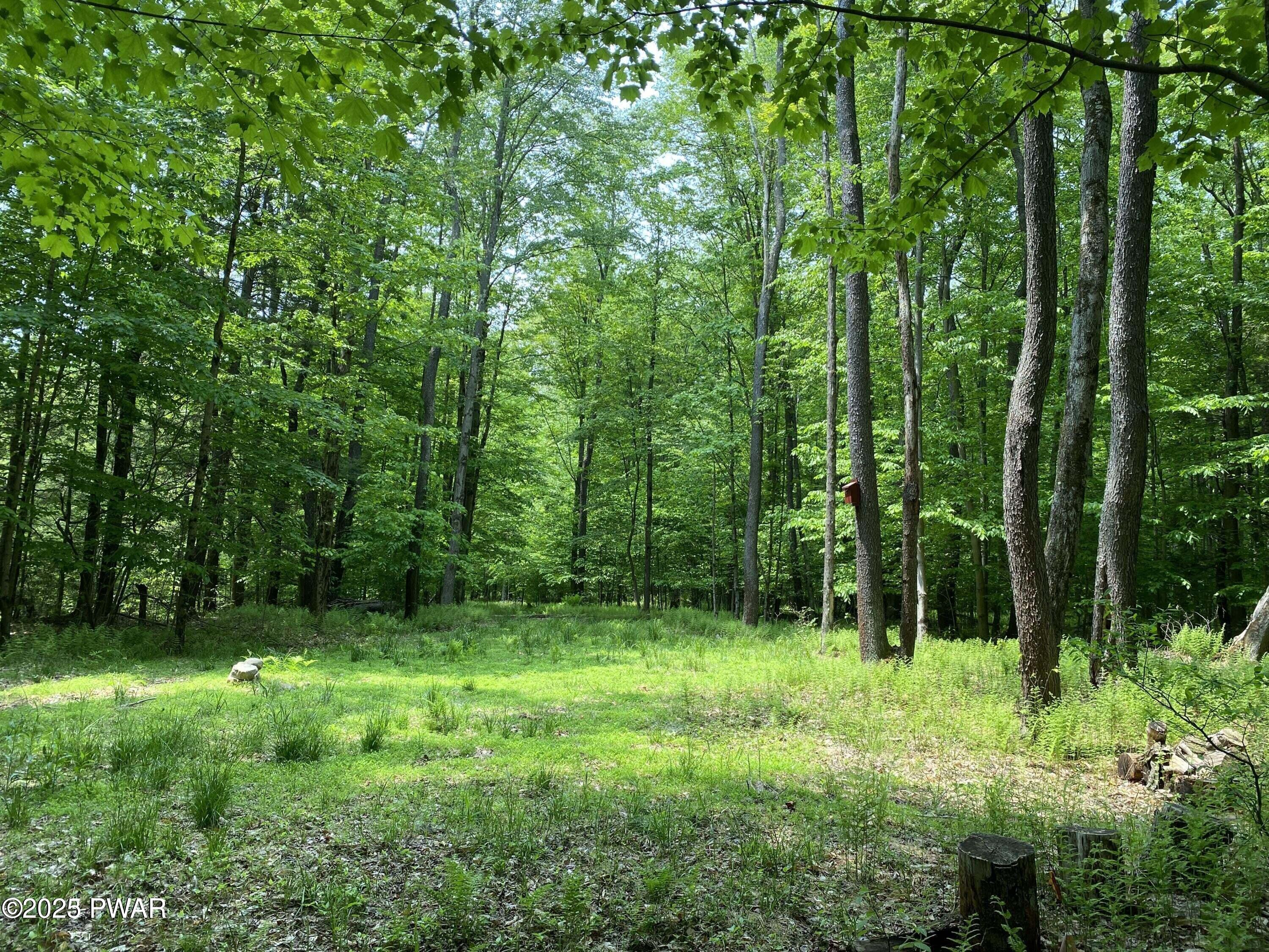 Traco Road, Lake Ariel, Pennsylvania image 7