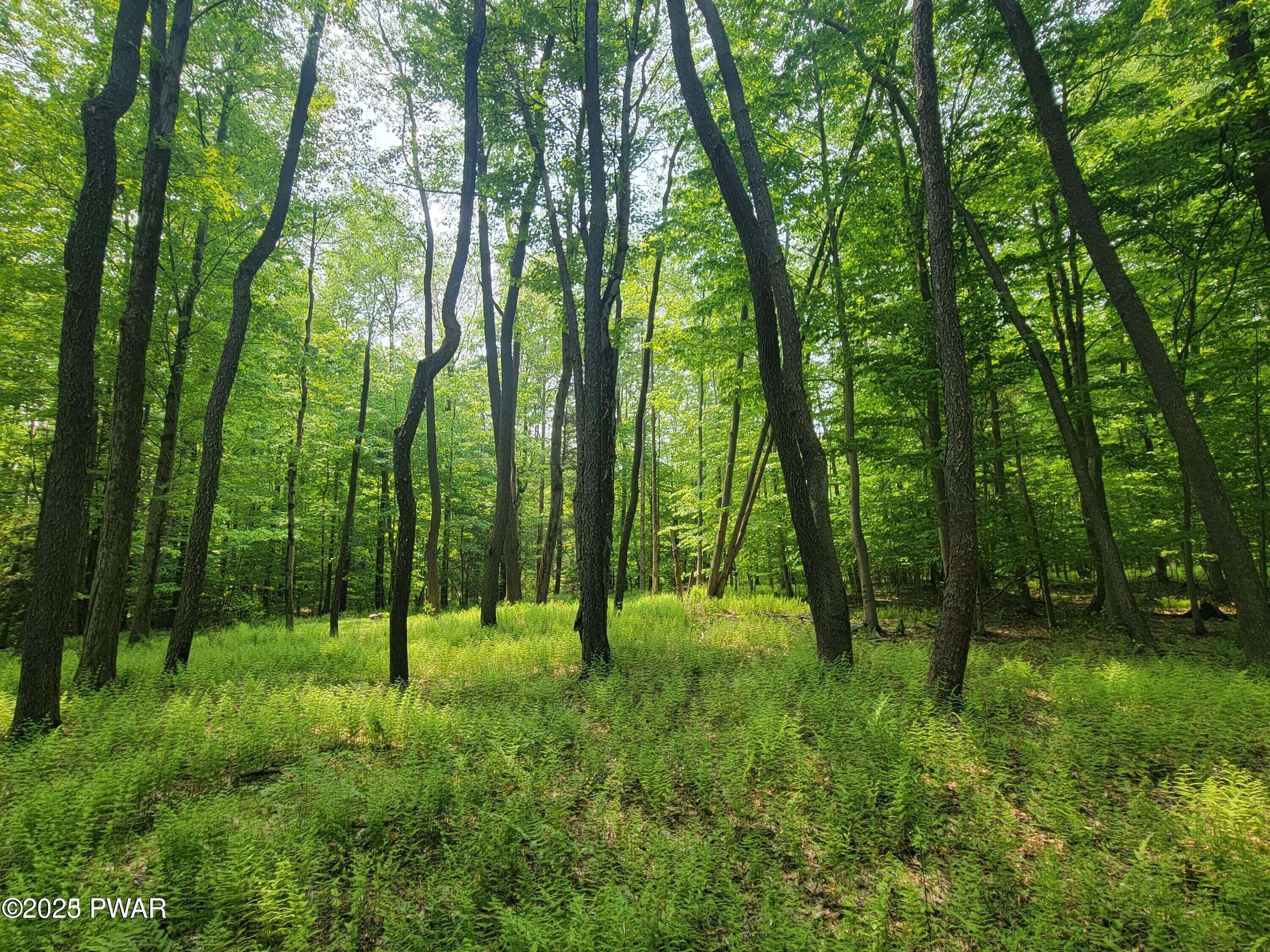 Traco Road, Lake Ariel, Pennsylvania image 3