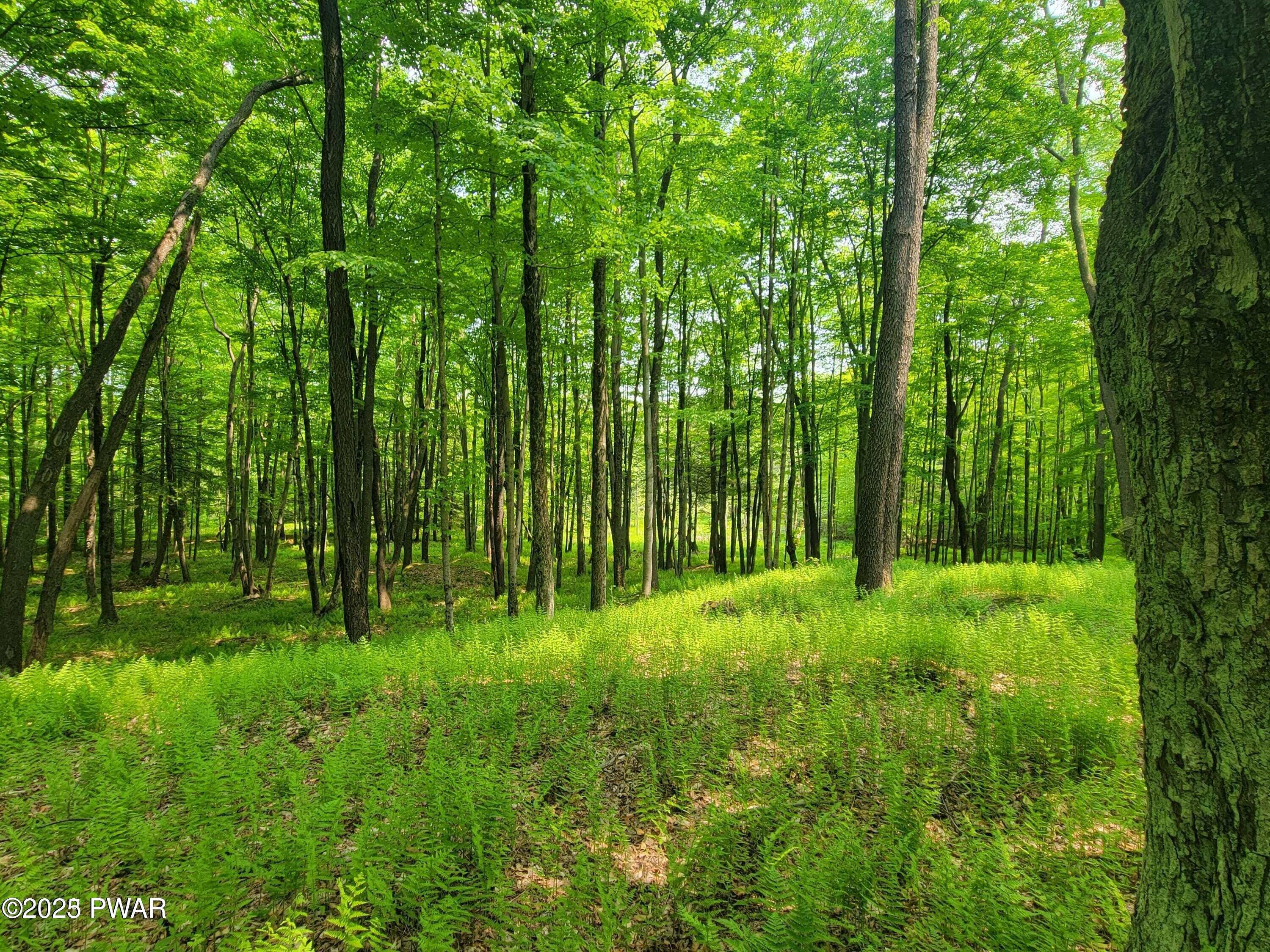 Traco Road, Lake Ariel, Pennsylvania image 1