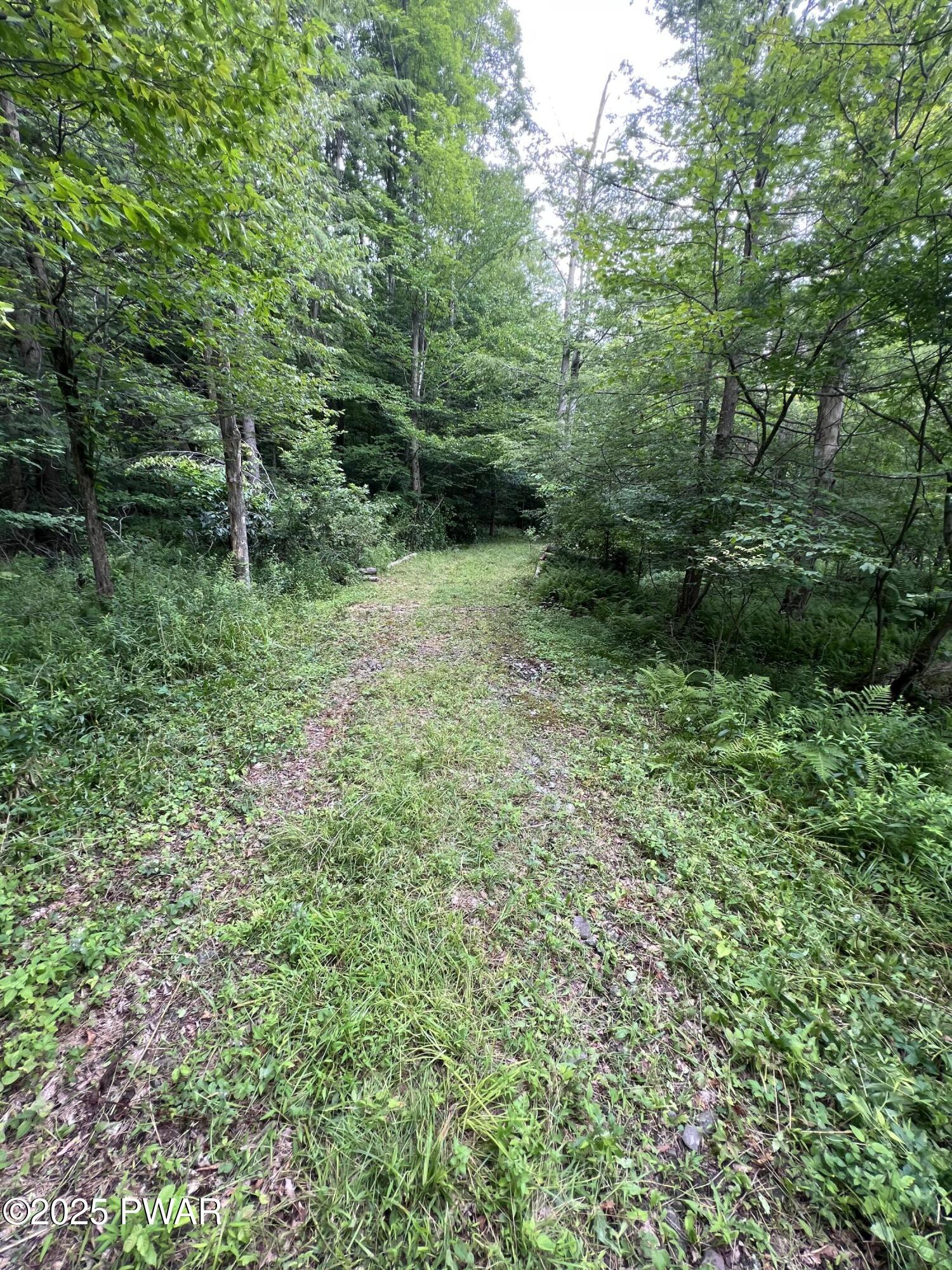 Traco Road, Lake Ariel, Pennsylvania image 4