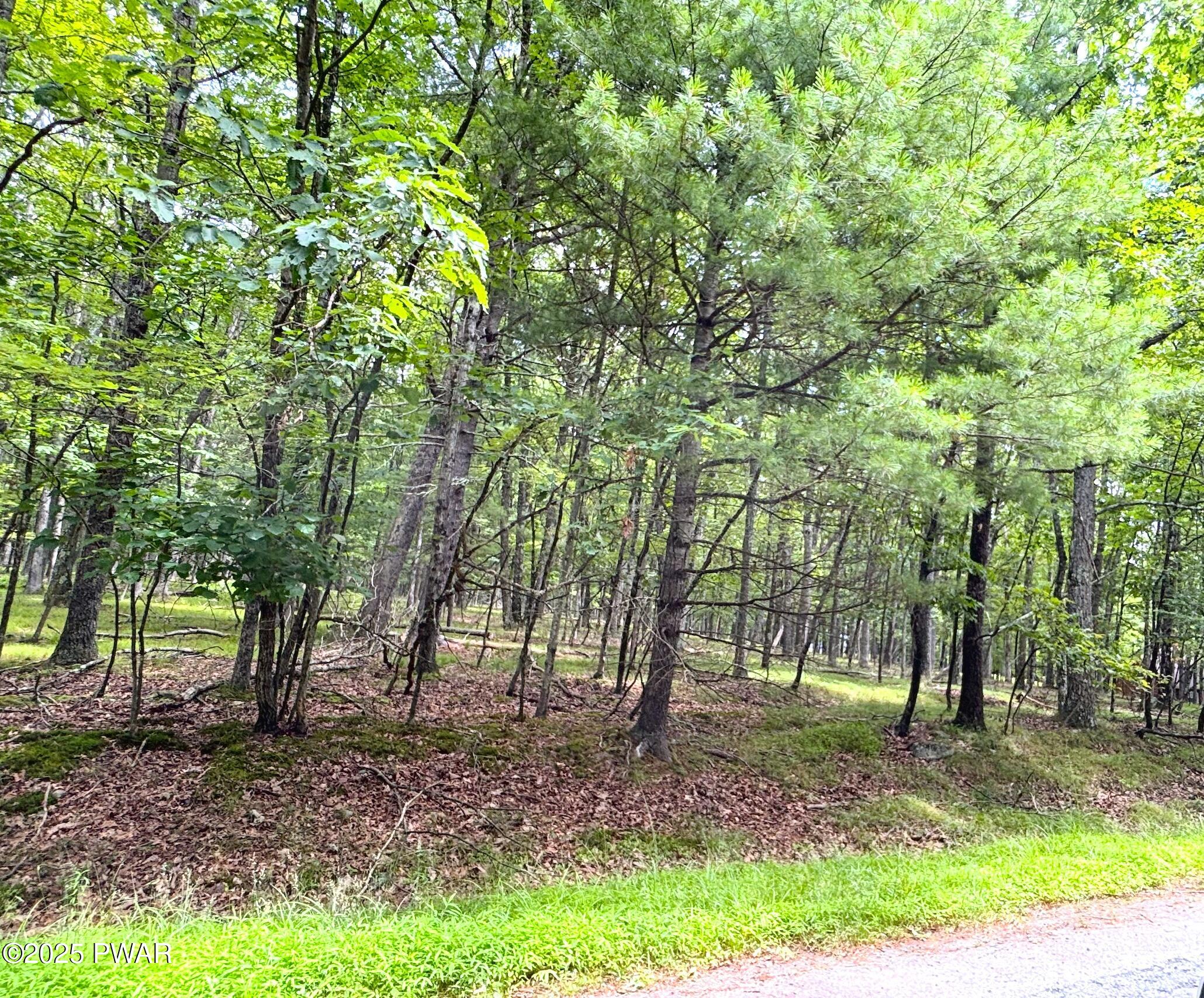 Hawley, Pennsylvania 18428, United States, ,Land,Active,167350