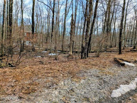 Vacant Land For Sale - Goose Pond Rd<br/> Wayne County, Lake Ariel, PA 18436
