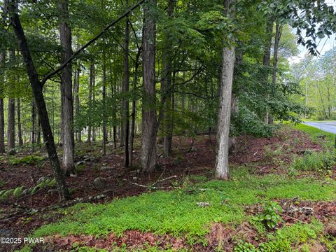Vacant Land For Sale - 101 Elm Lane<br/> Greentown, PA 18426