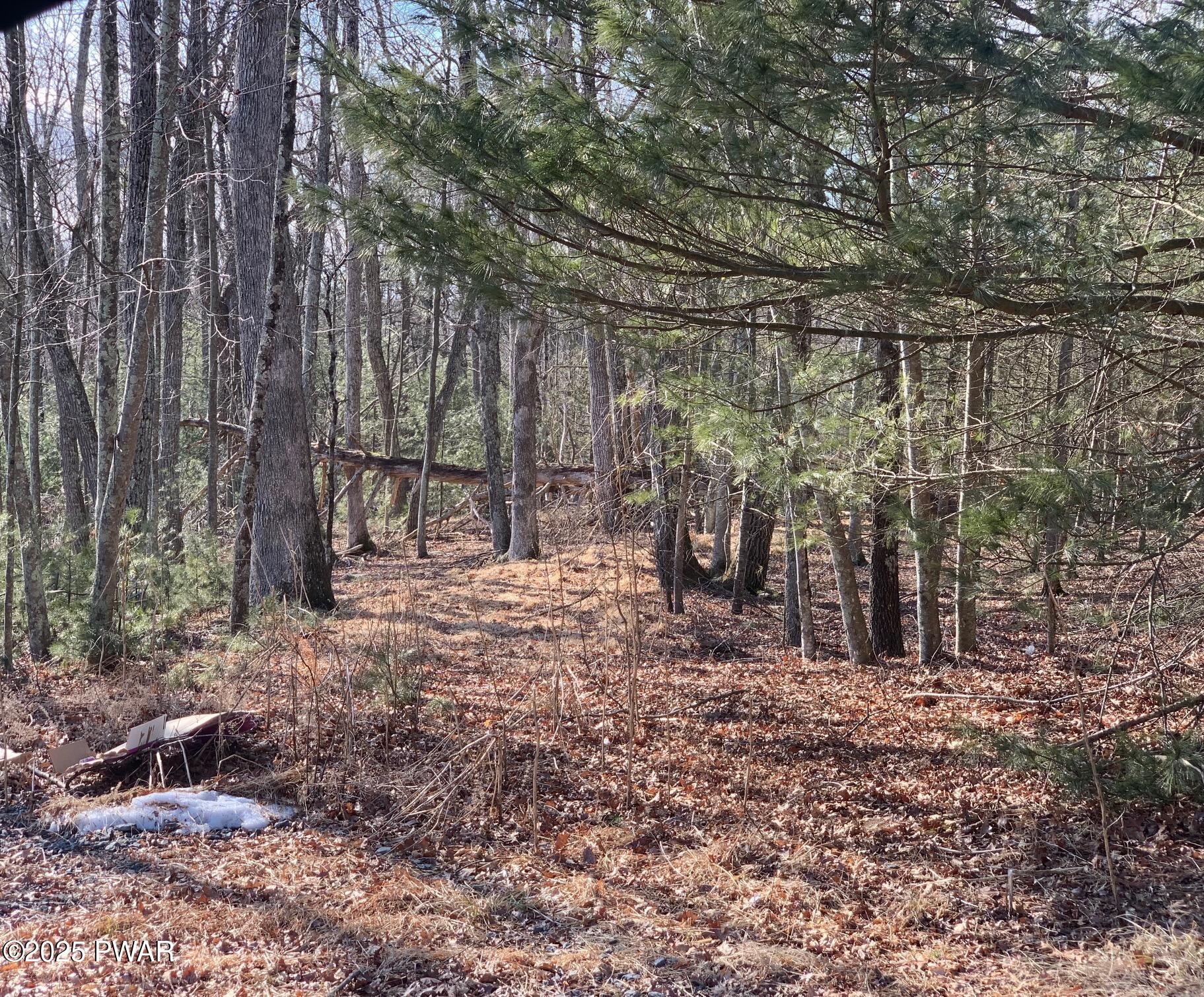 Lot 47 Hillside Ct., Dingmans Ferry, Pennsylvania image 1
