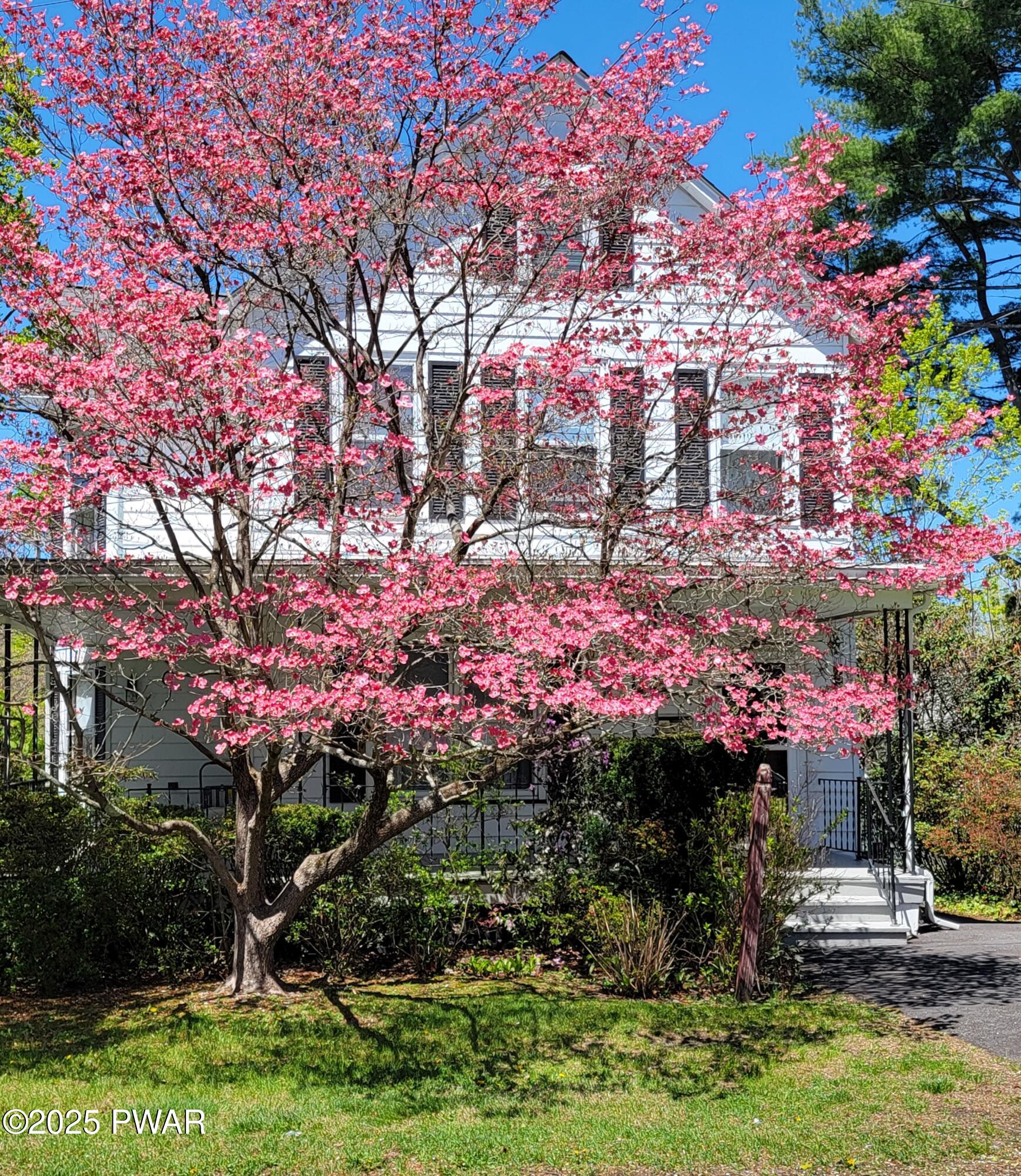 107 Avenue I, Matamoras, Pennsylvania image 2