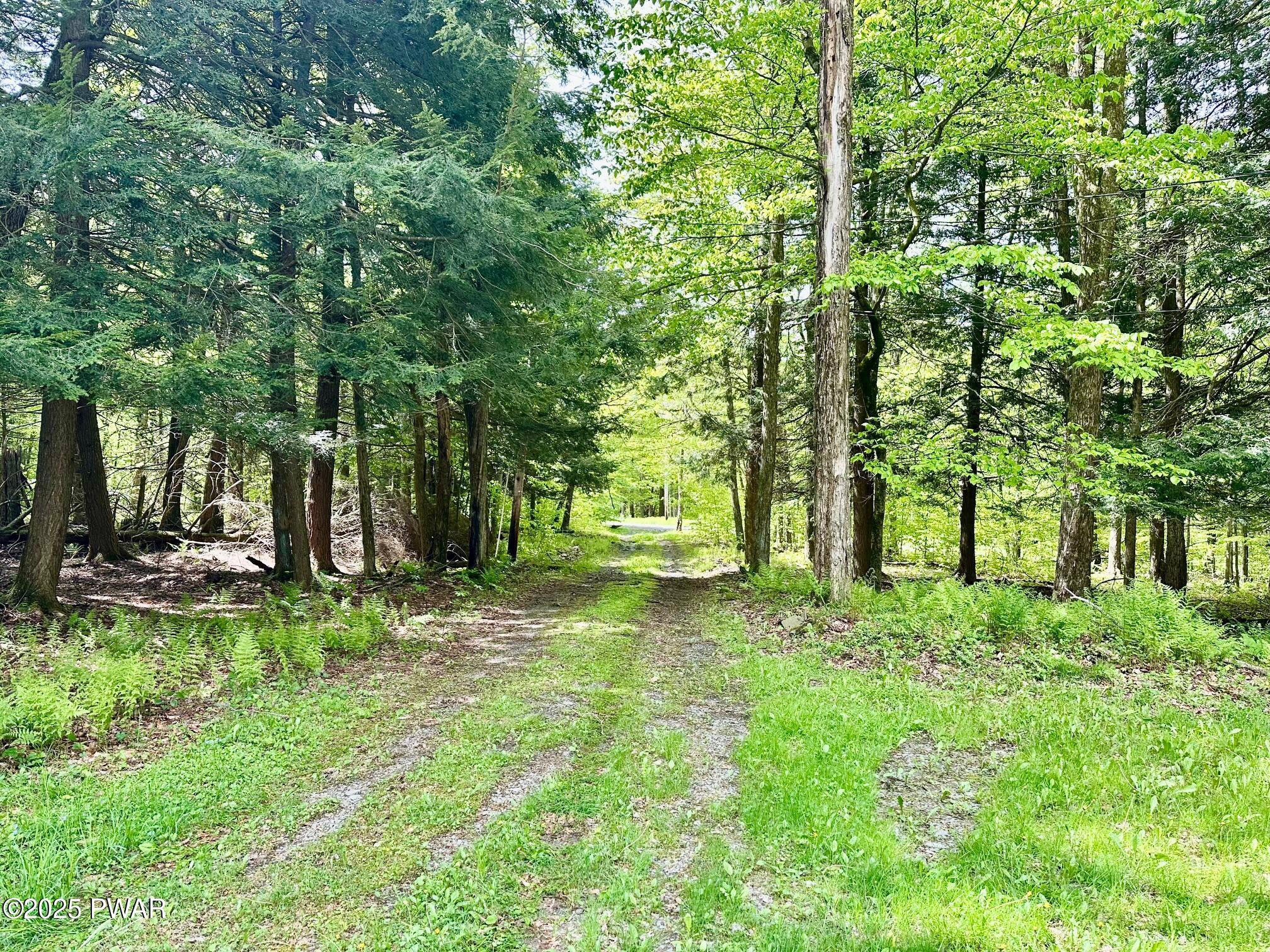 234 Coxton Lake Road, Starrucca, Pennsylvania image 20
