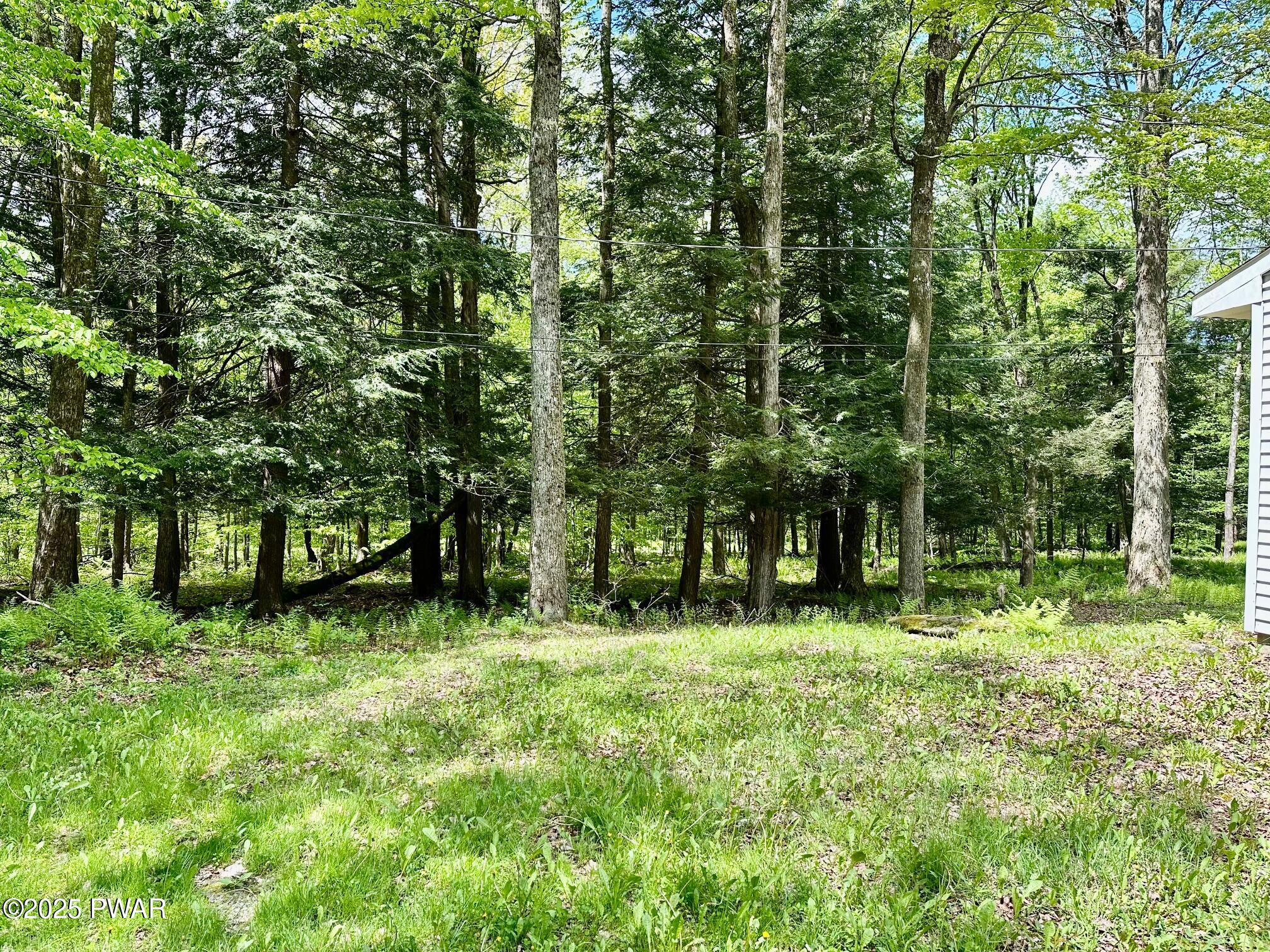 234 Coxton Lake Road, Starrucca, Pennsylvania image 21