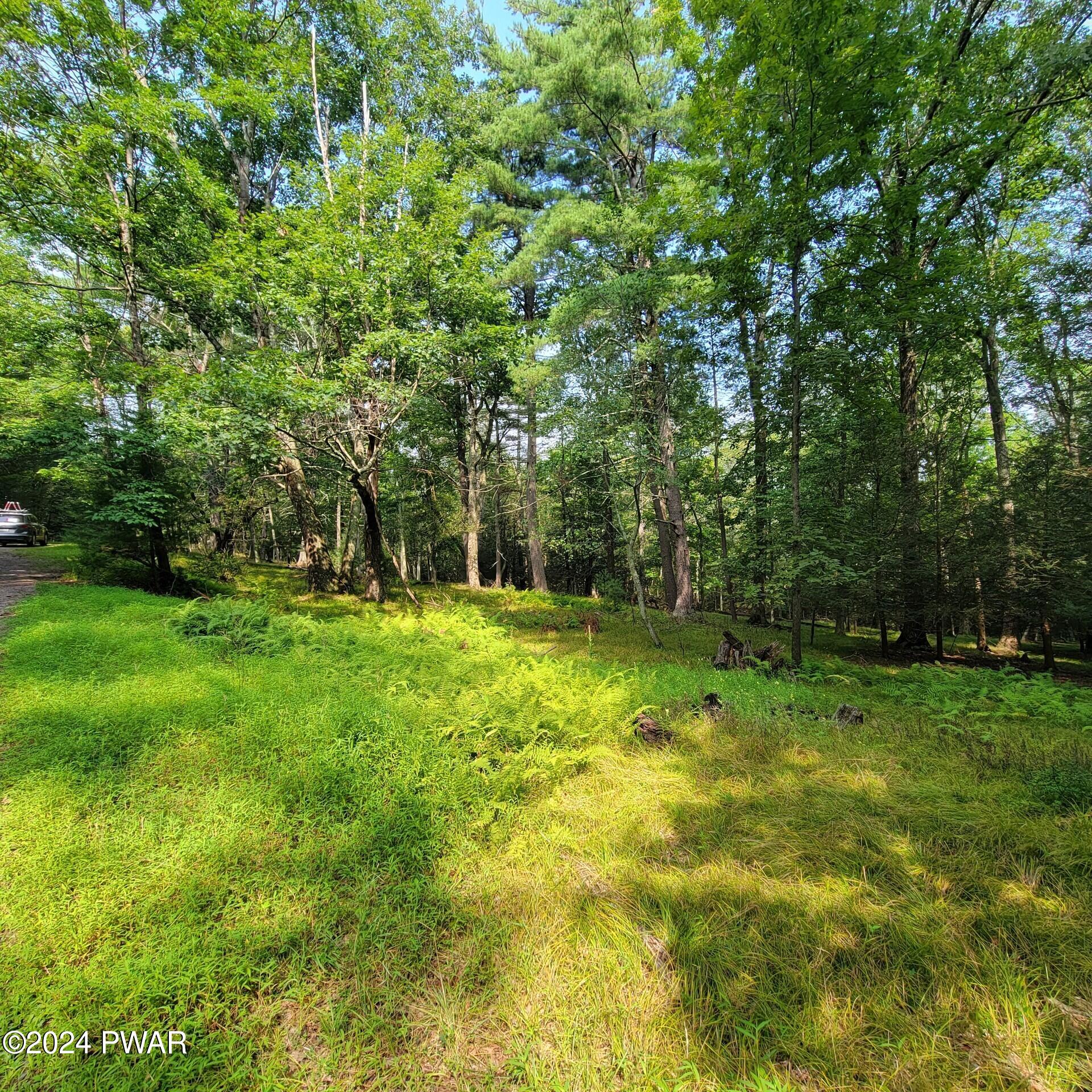 Lot 35 Pine Tree Road, Cresco, Pennsylvania image 6