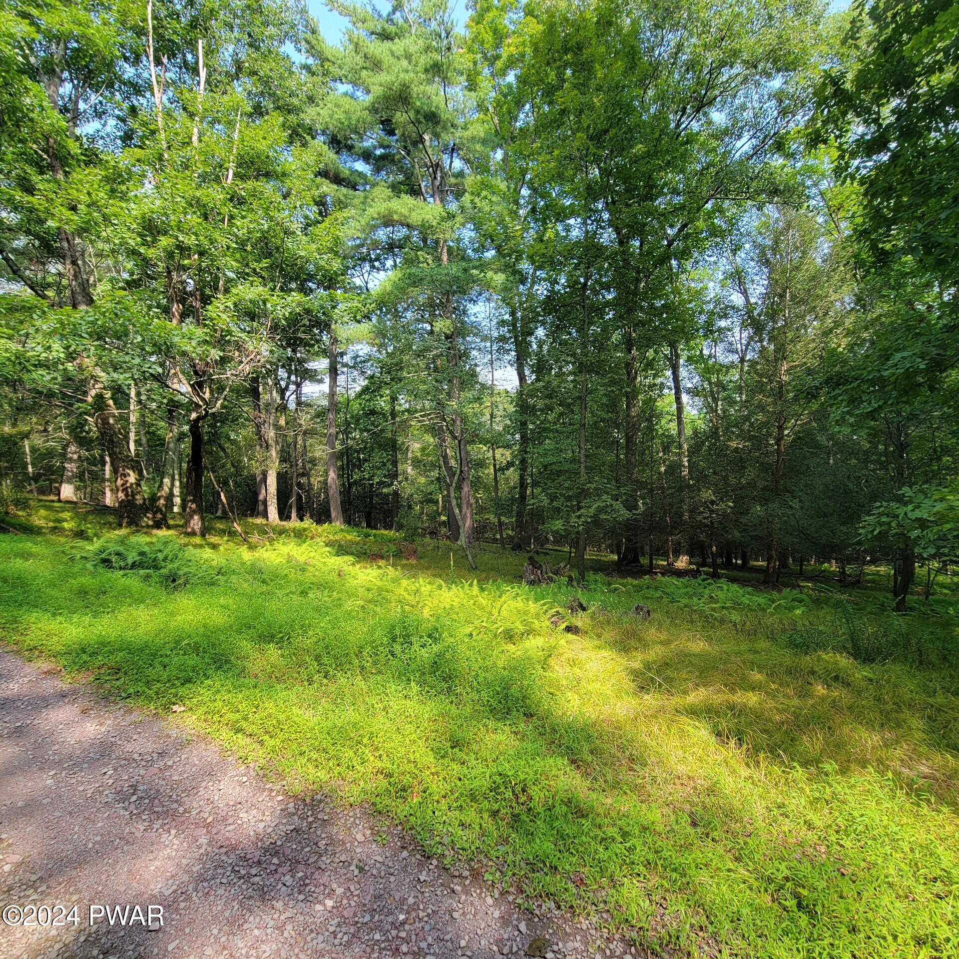 Lot 35 Pine Tree Road, Cresco, Pennsylvania image 2