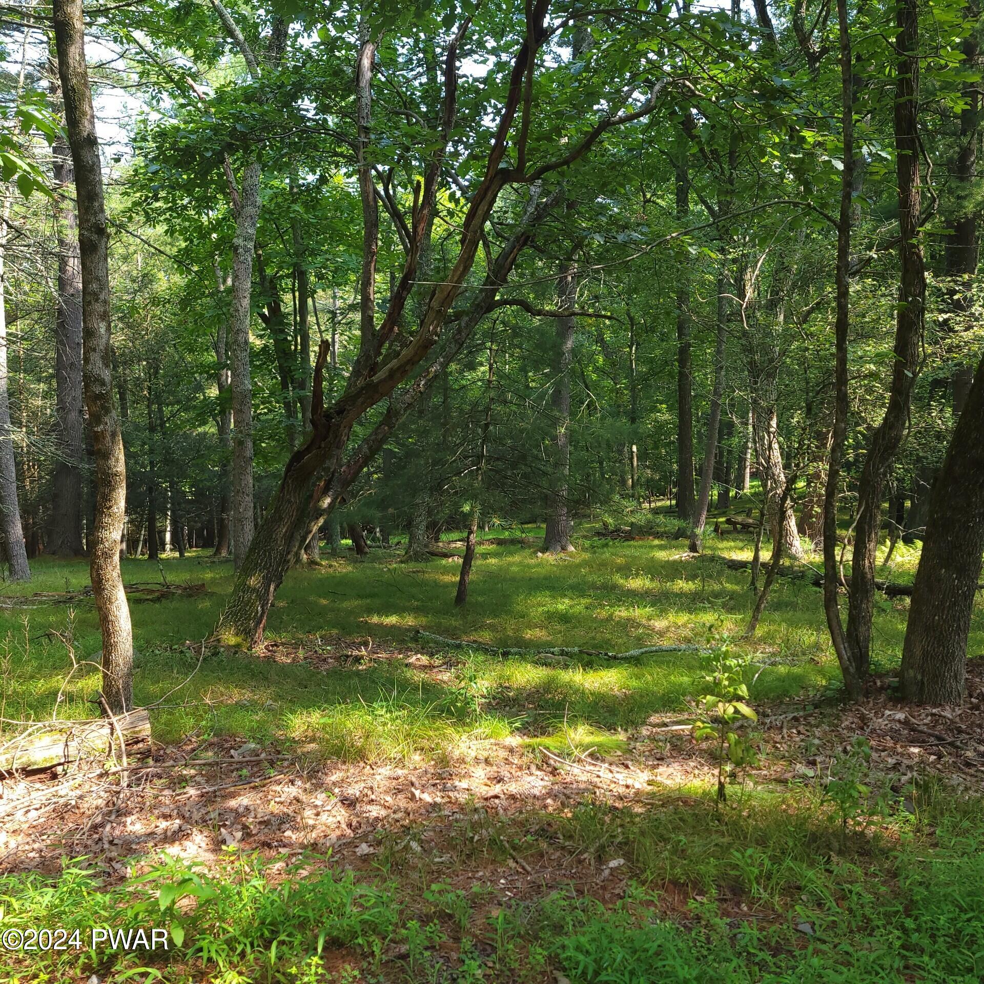 Lot 35 Pine Tree Road, Cresco, Pennsylvania image 3